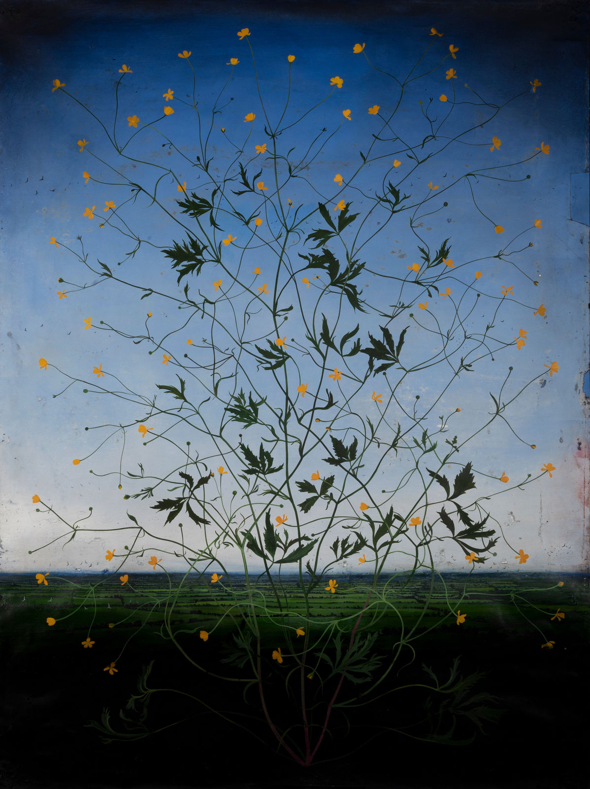 Michael Canning, Liturgies, 2017-2022