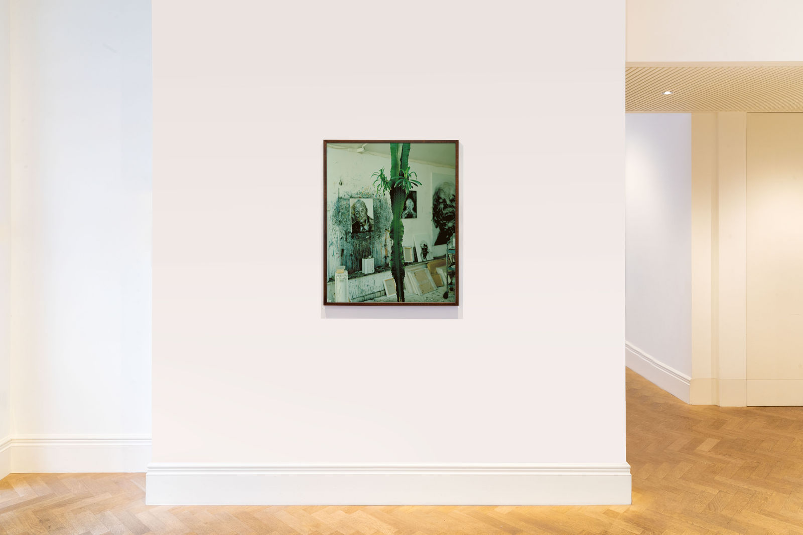 Kate Friend, Maggi Hambling, Cactus, Suffolk, 2020