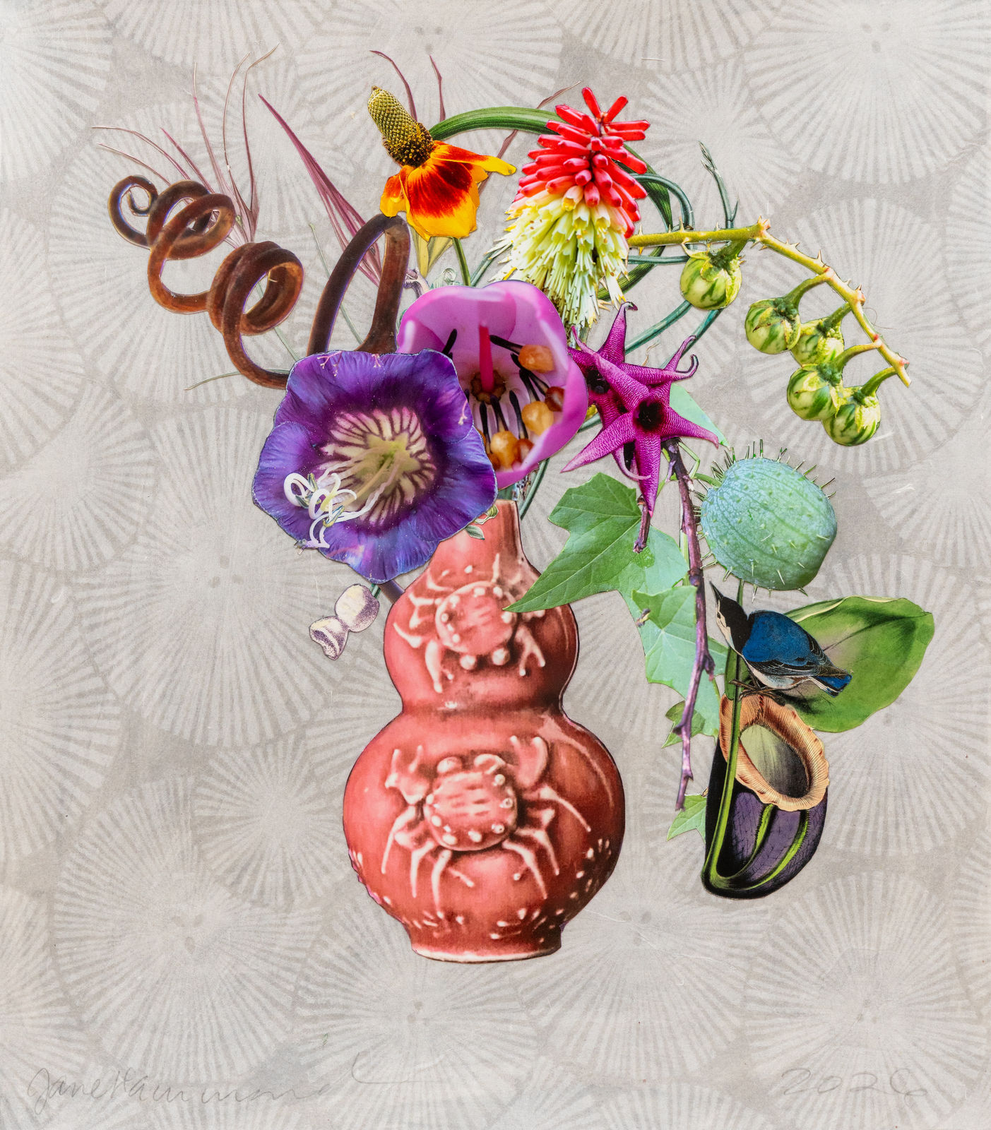 Jane Hammond, Chinese Snuff Bottle with Wild Cucumber, Cup and Saucer Flower and Aloe Vera, 2026