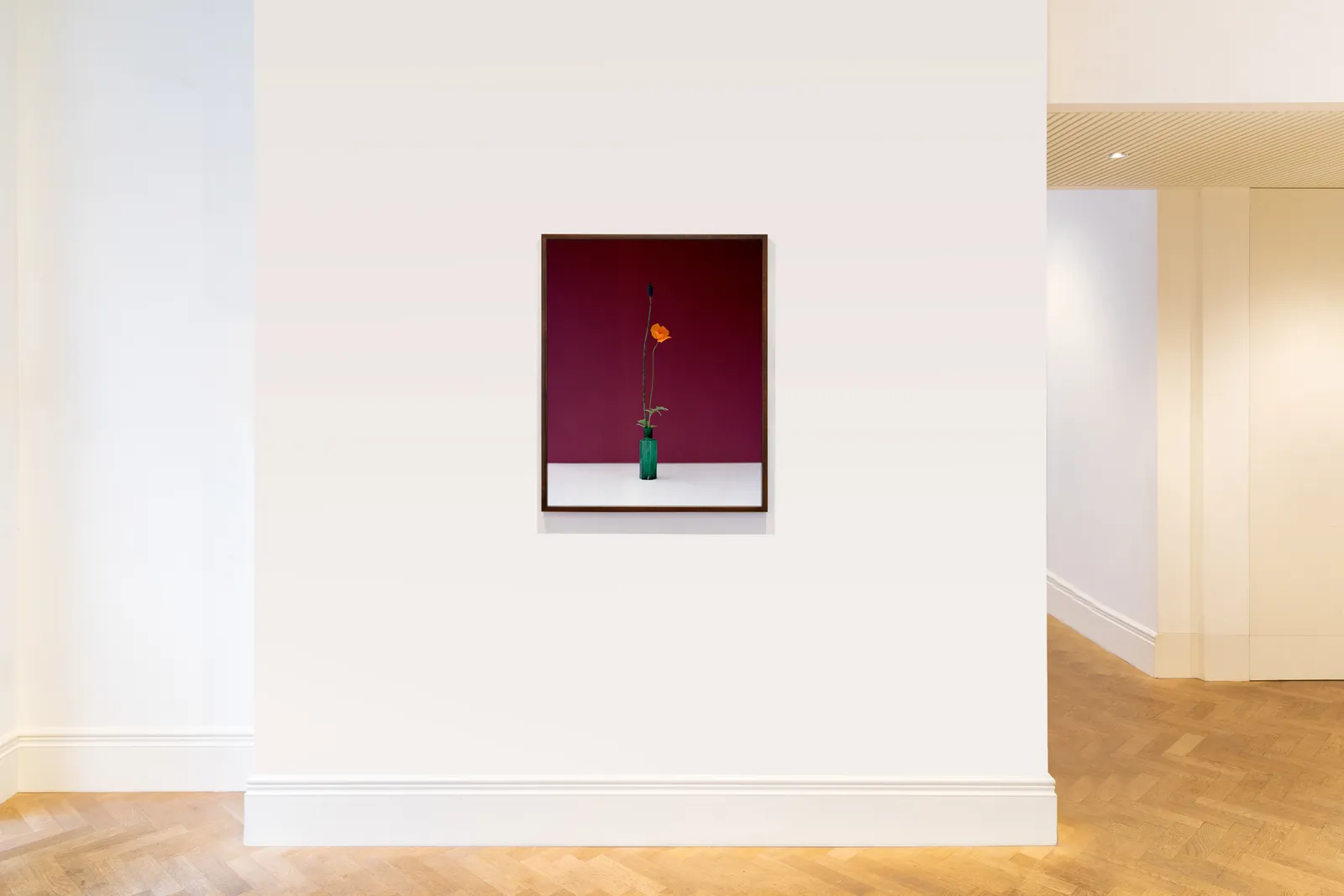 Kate Friend, Alys Fowler, Papaver cambricum, Birmingham, 2020