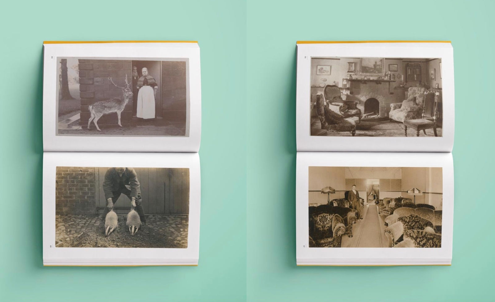 Kasmin Postcards, Odd