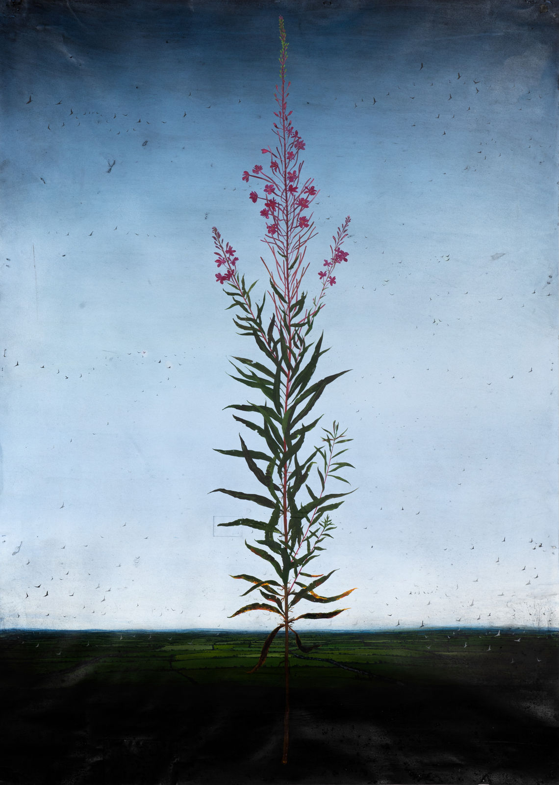 Michael Canning, All Of The Air, 2017-2020