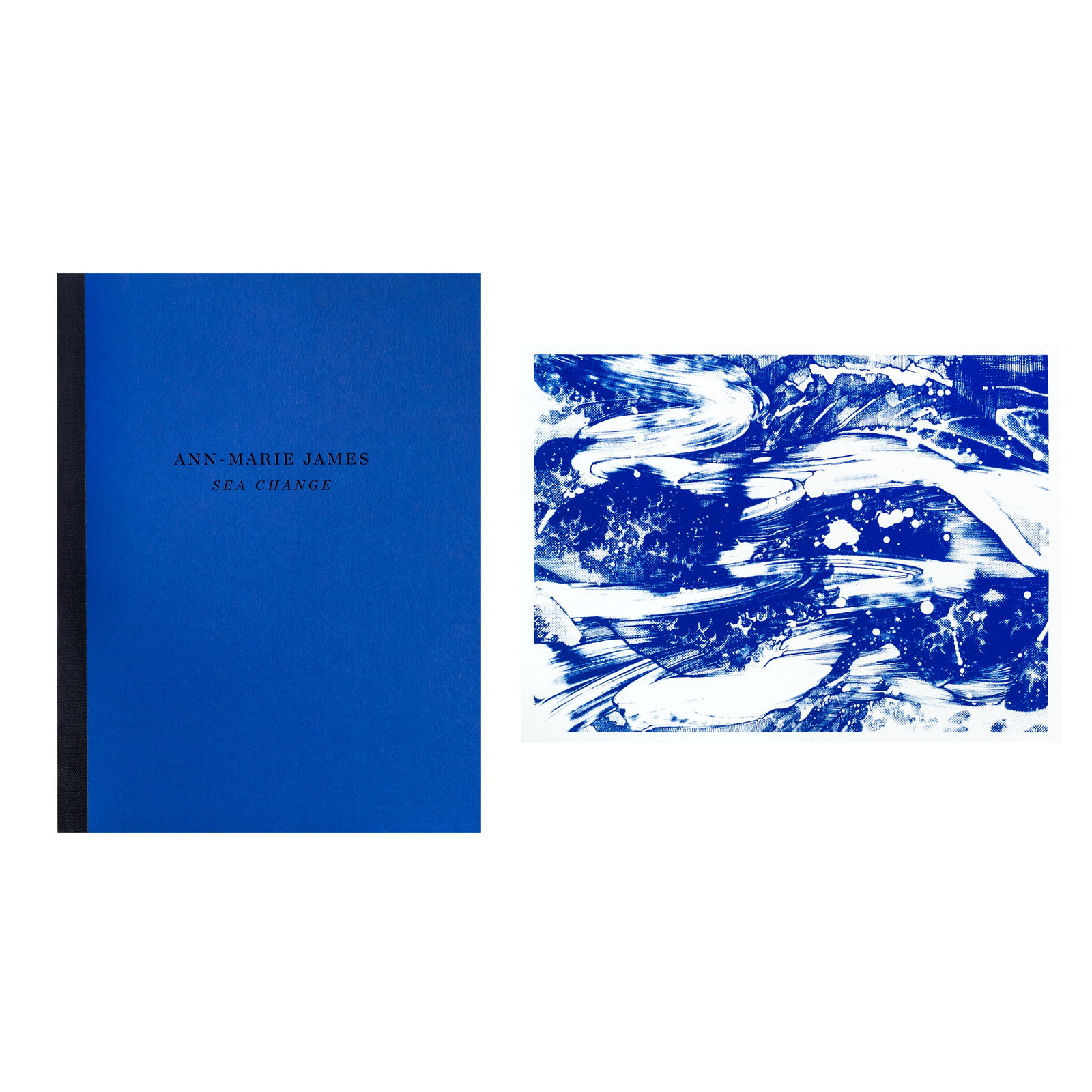Ann-Marie James, Sea Change | Deluxe edition catalogue, 2019