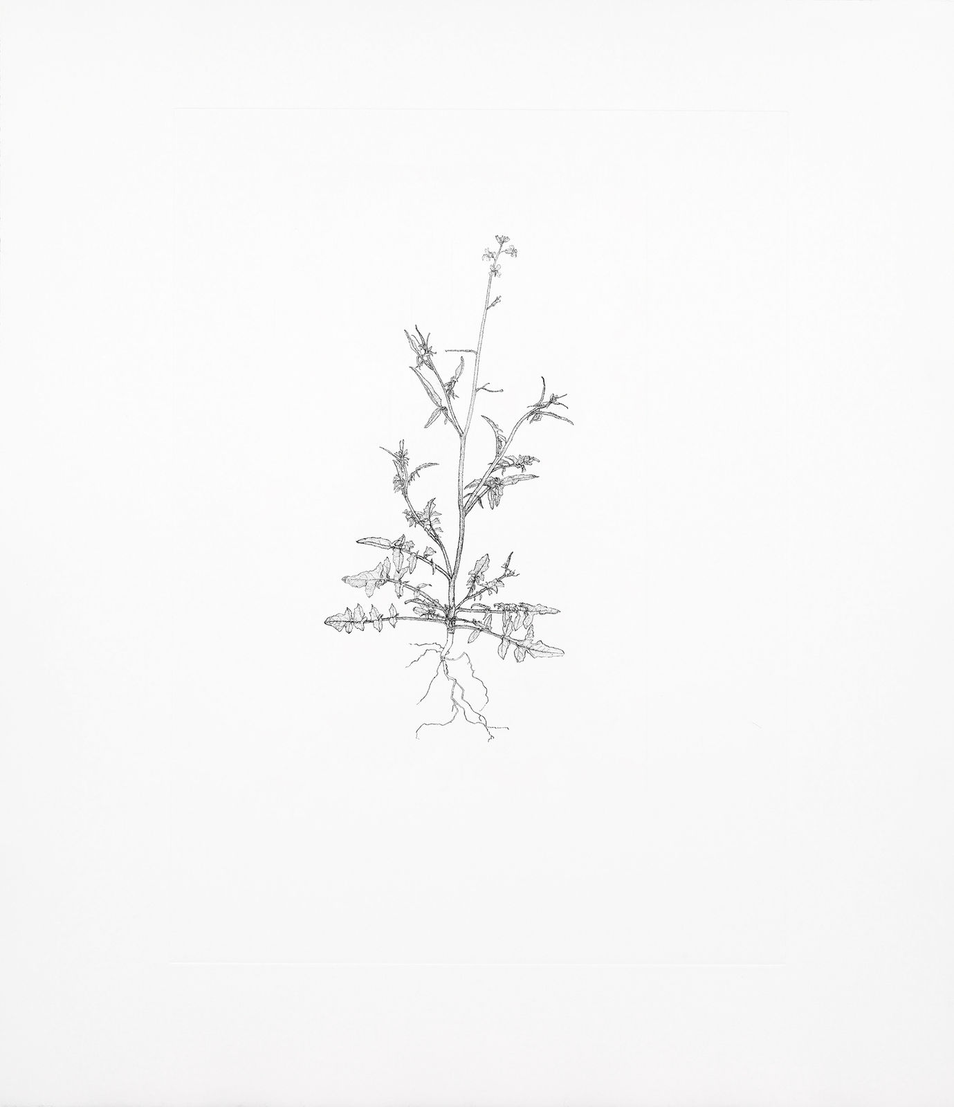 Michael Landy, Annual Wall Rocket, 2002