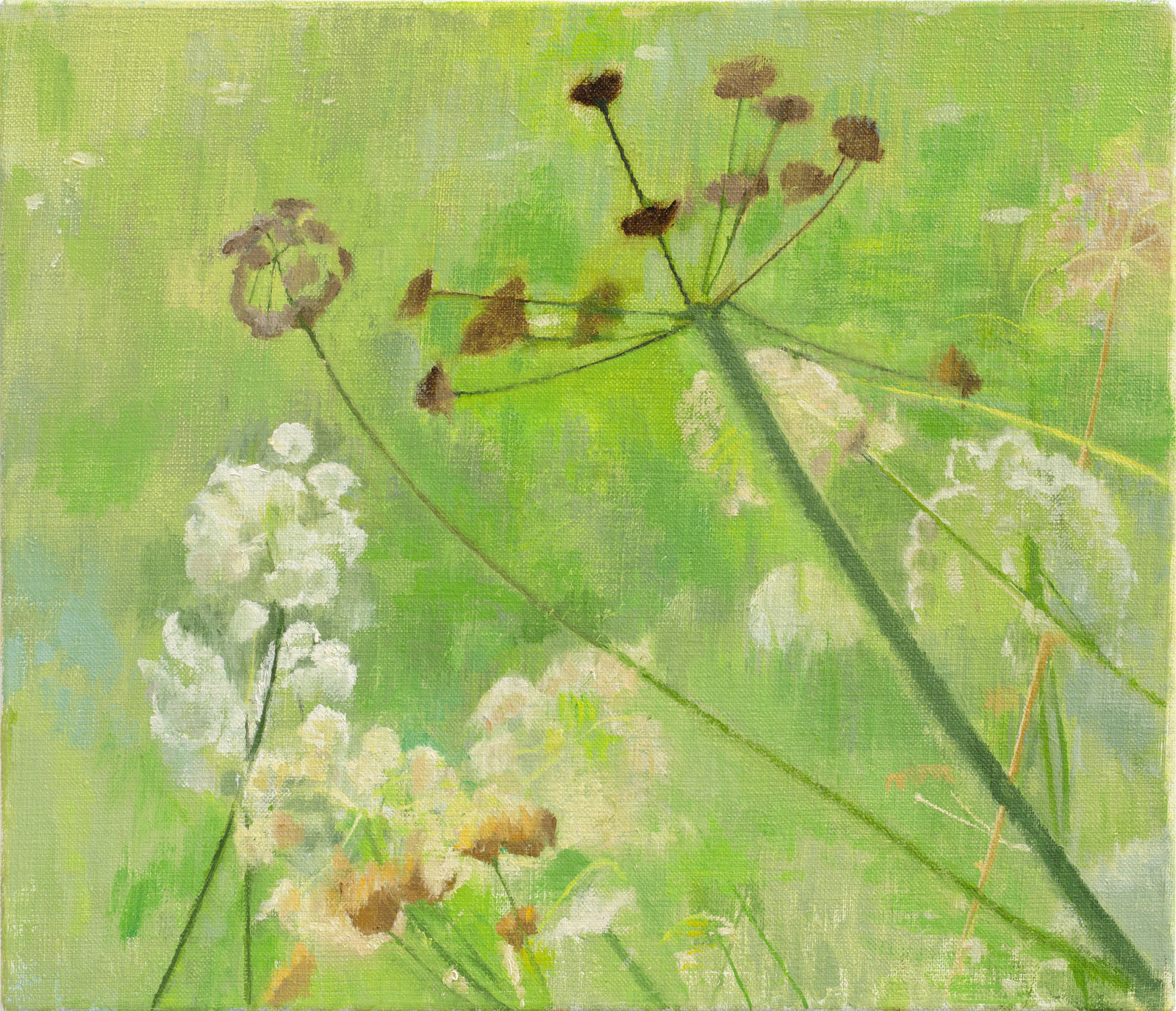 Charlotte Verity, Green Light, 2024