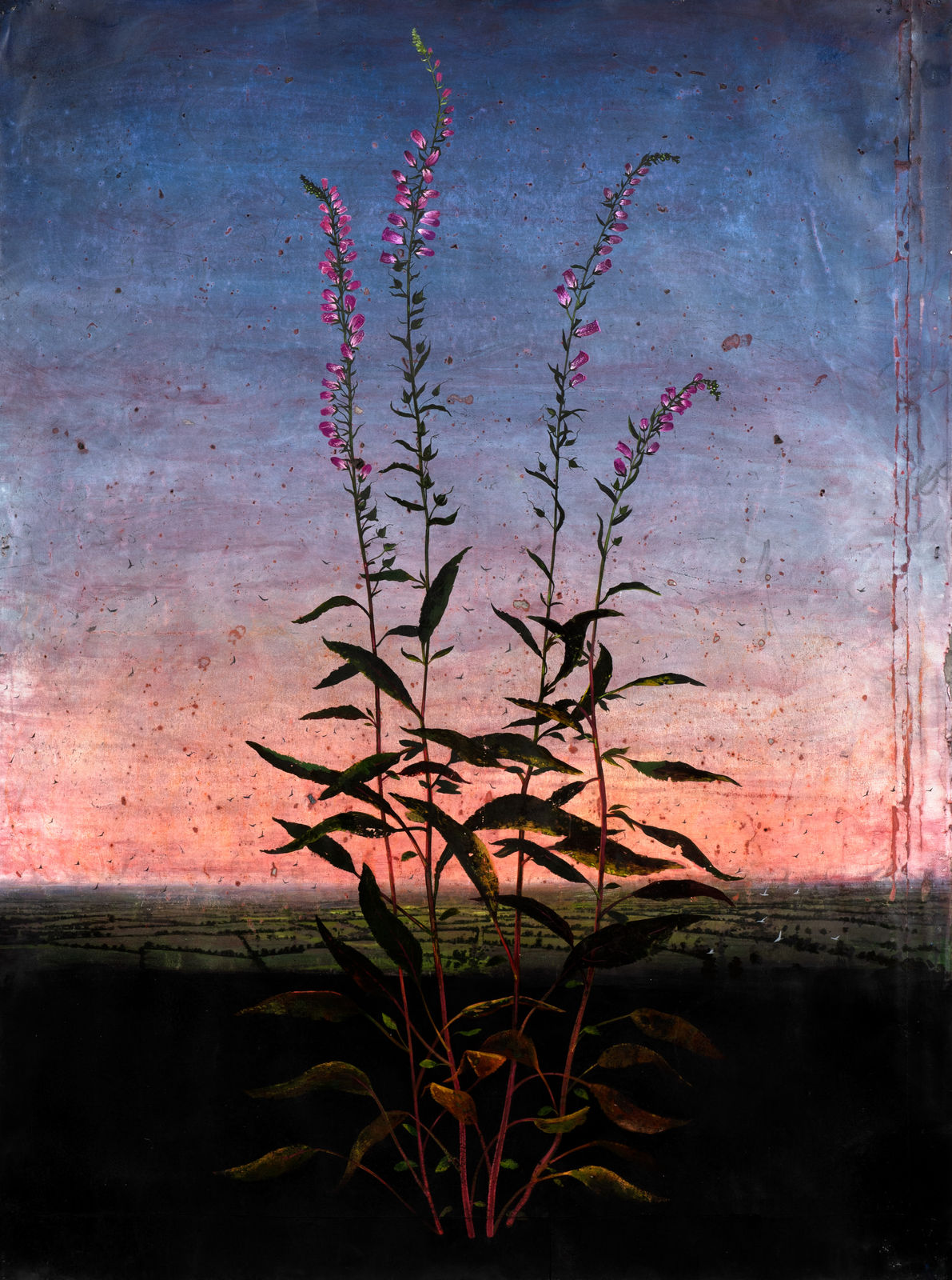 Michael Canning, Never. No, Always, 2014-2020