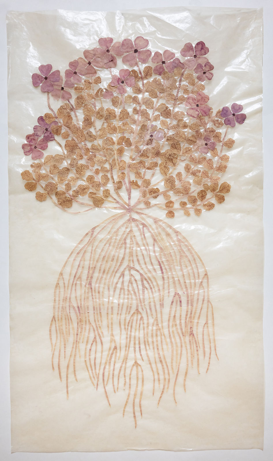 Fumi Imamura, One flower (Sweet rocket) (花ひとつ(むらさきな ずな), 2025