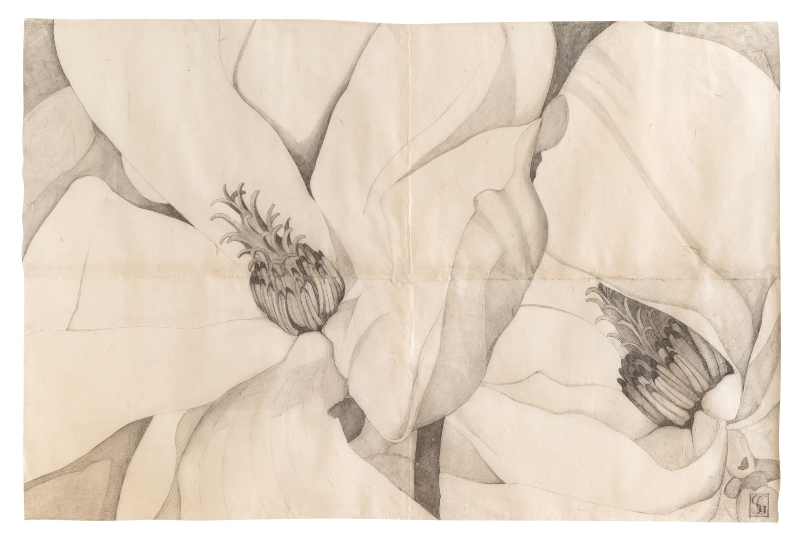 Sarah Graham, Magnolia soulangeana V, 2022