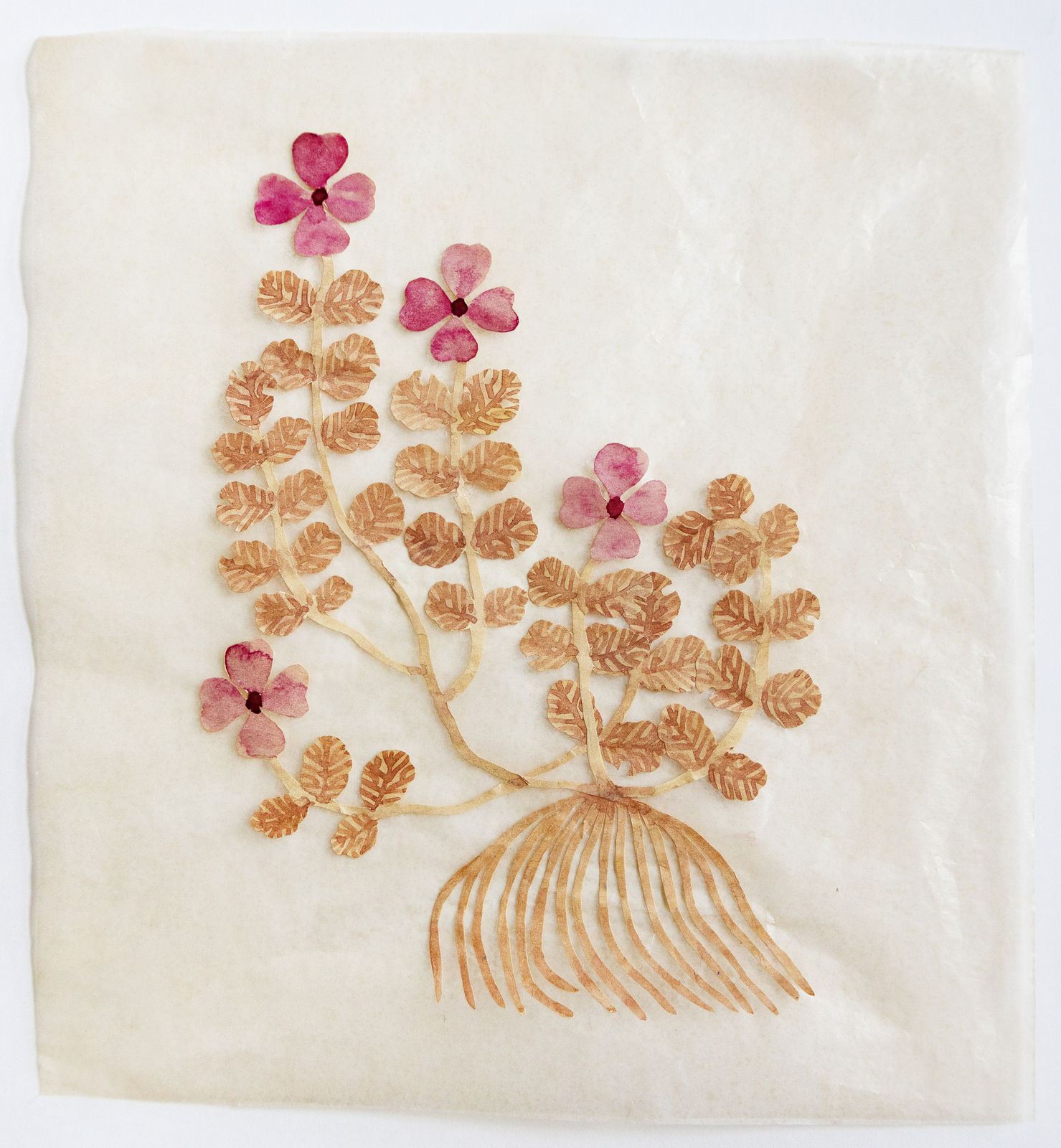 Fumi Imamura, One Flower (Sweet Rocket), 2024