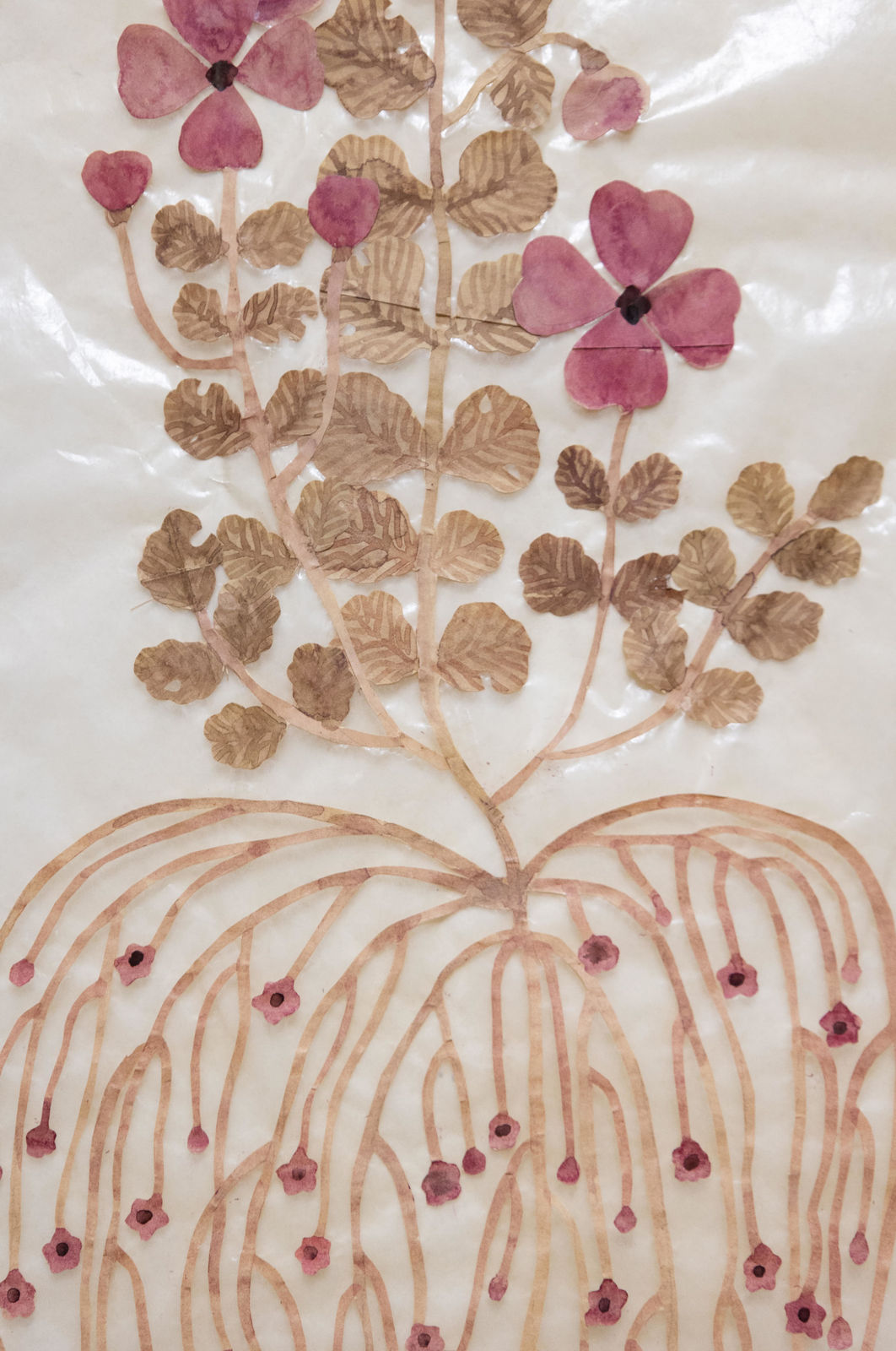 Fumi Imamura, One flower, fruiting (Sweet rocket) (花ひとつ、結実（む らさきなずな, 2025