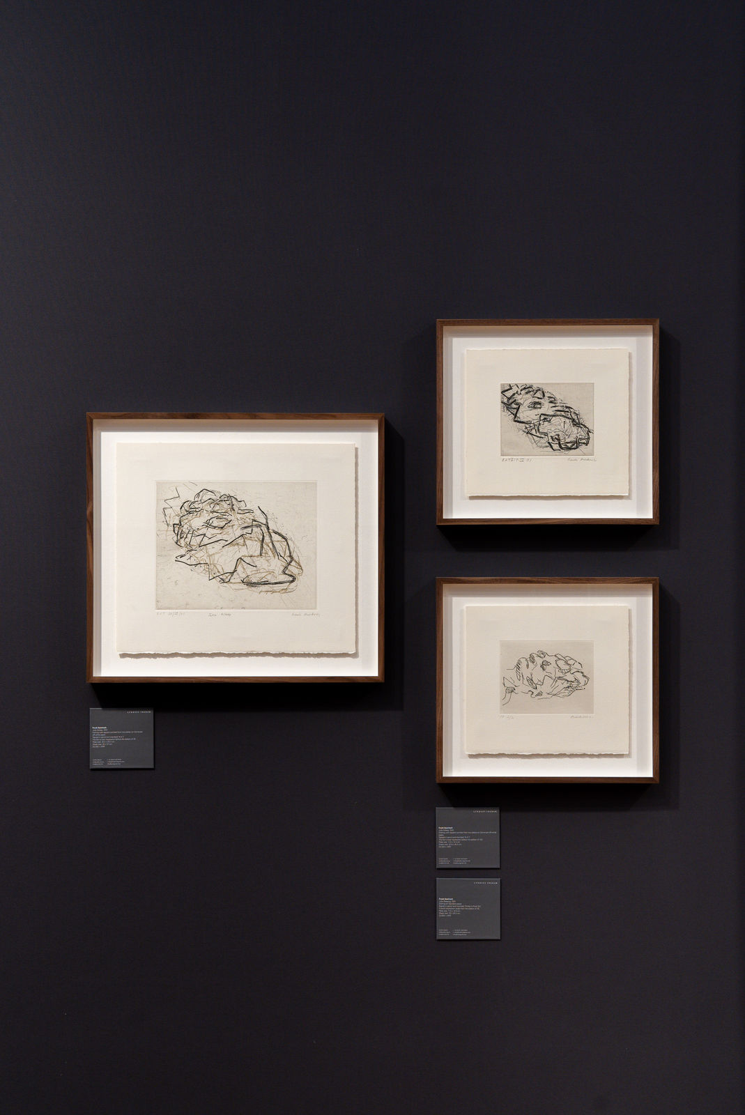 Frank Auerbach, Julia Asleep, 2001