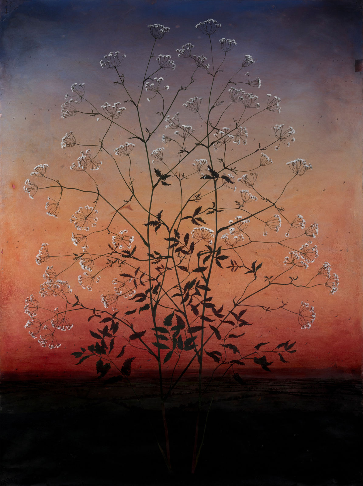 Michael Canning, A Nemesis, 2016-2022