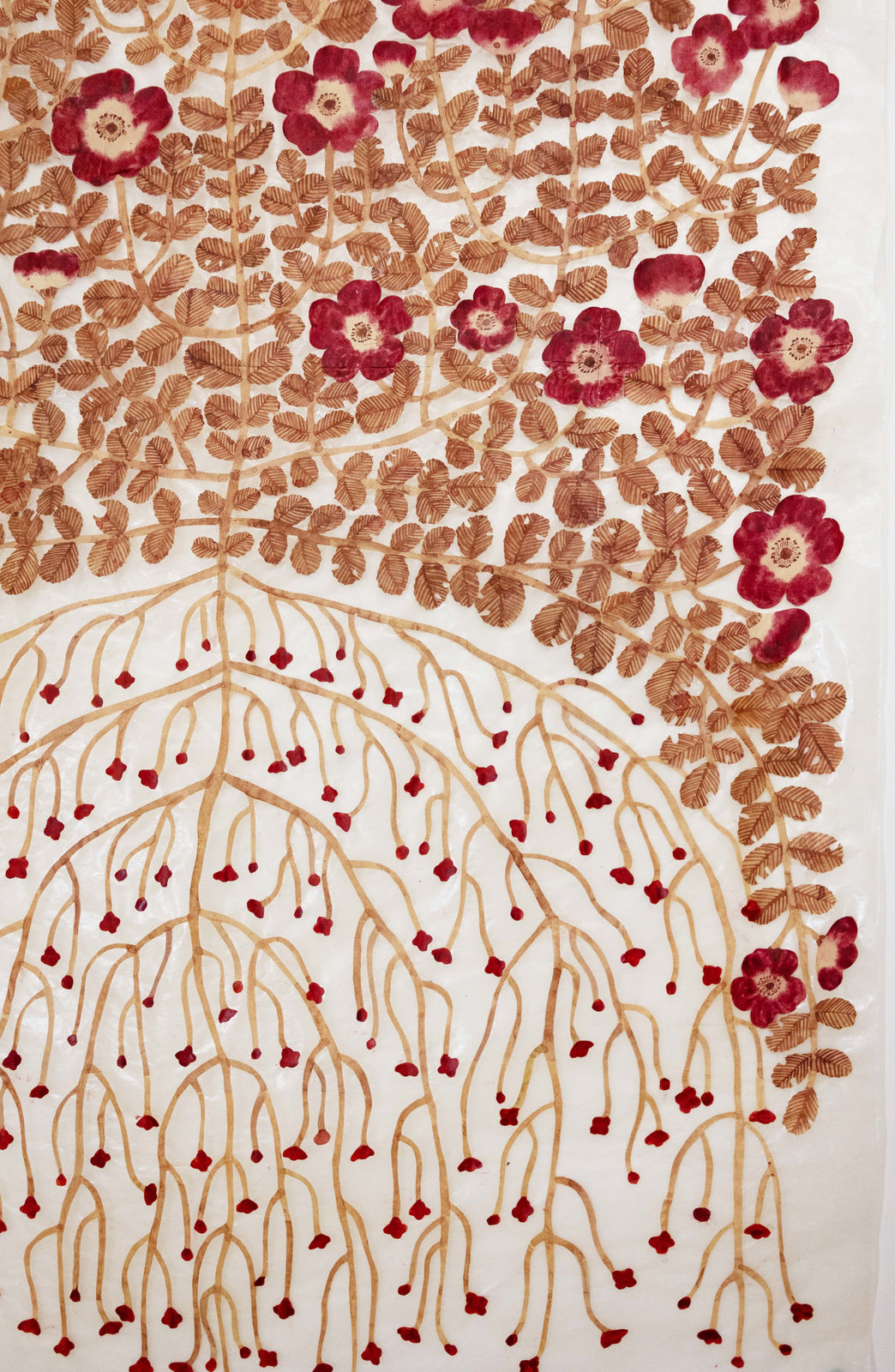 Fumi Imamura, One flower (wild rose) (花ひとつ (野ばら), 2025