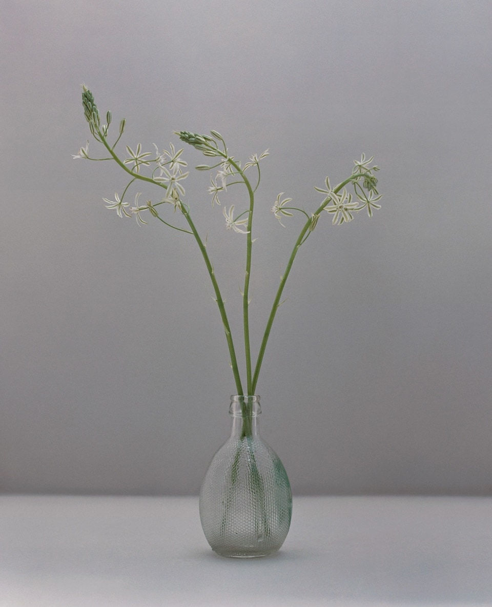 Kate Friend, Star of Bethlehem II, Fátima, Portugal, April, 2024