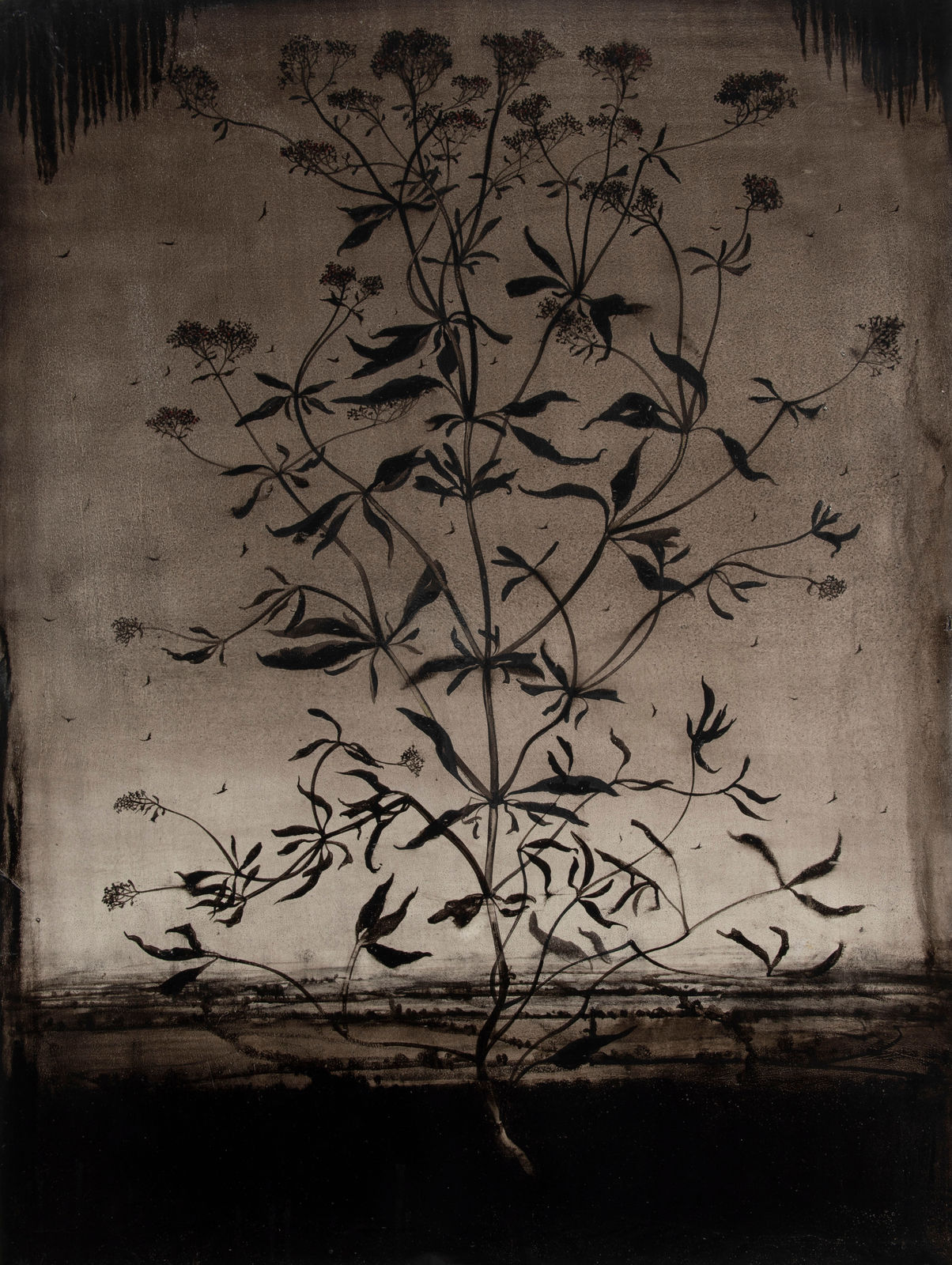 Michael Canning, Difficult Loves (for I.C.) I, 2015-18