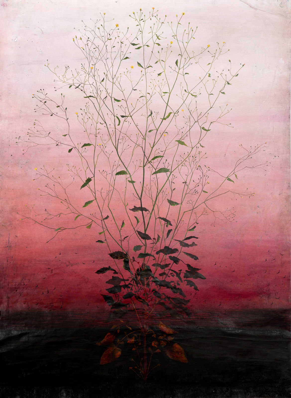 Michael Canning, Double Agency (Mexican Remake) , 2017-2020