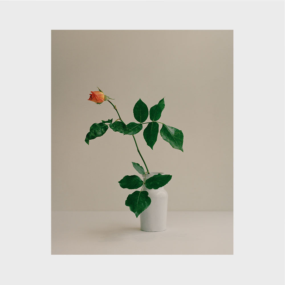 Kate Friend, Deluxe Edition Book with original C-print, Simone Rocha, 2022