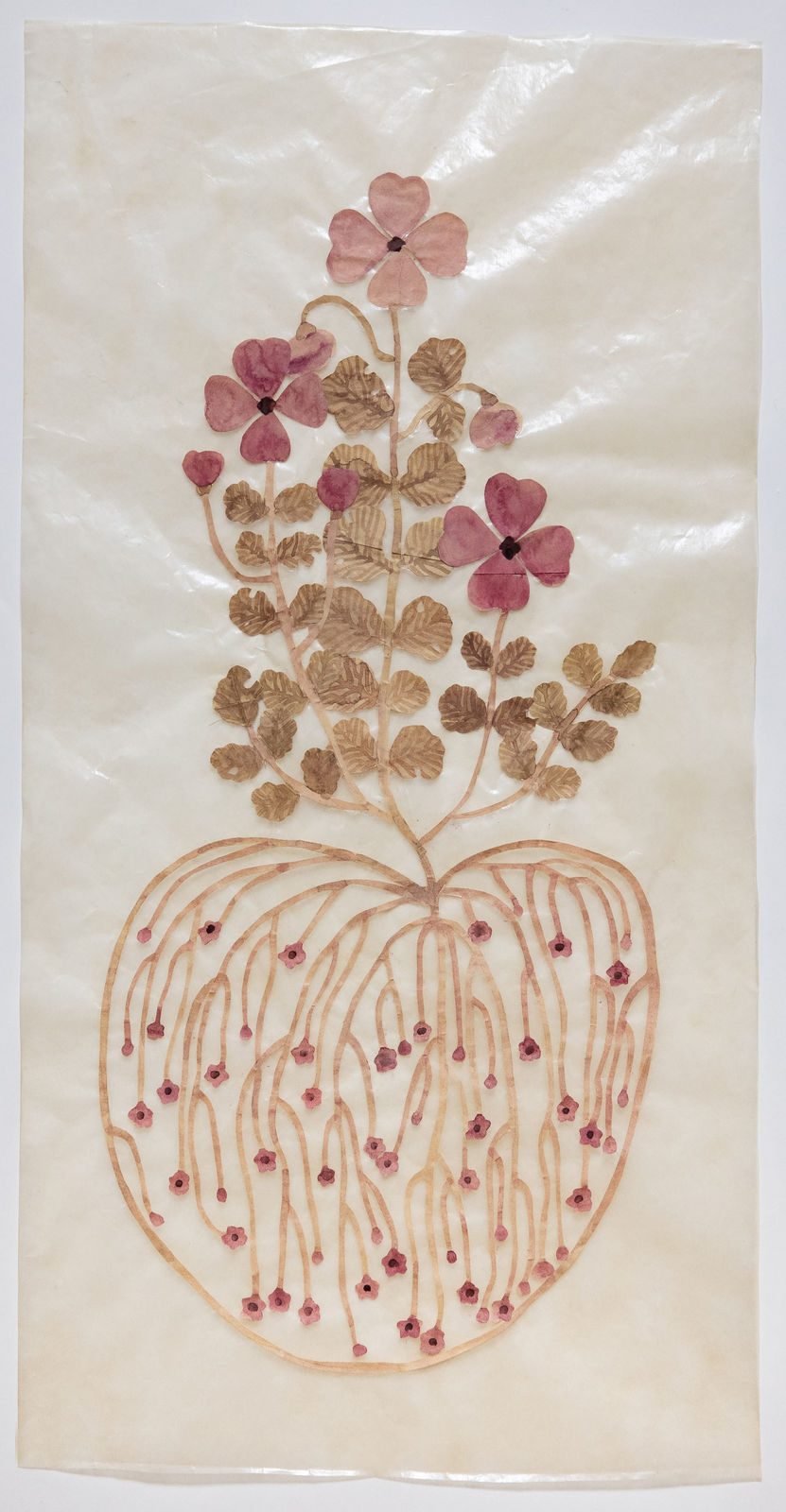 Fumi Imamura, One flower, fruiting (Sweet rocket) (花ひとつ、結実（む らさきなずな, 2025