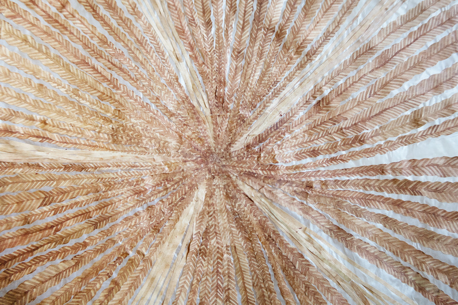 Fumi Imamura, One Flower (Red Flower), 2024