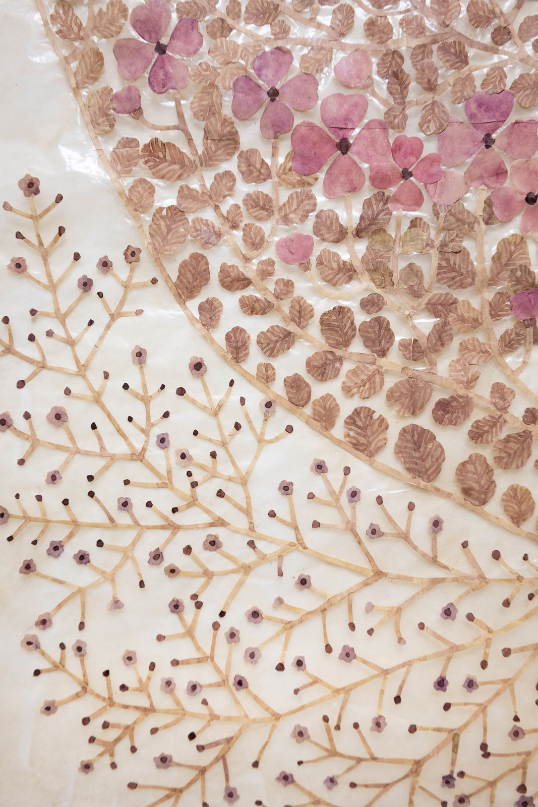 Fumi Imamura, Sweet rocket kaman (紫薺華鬘), 2025