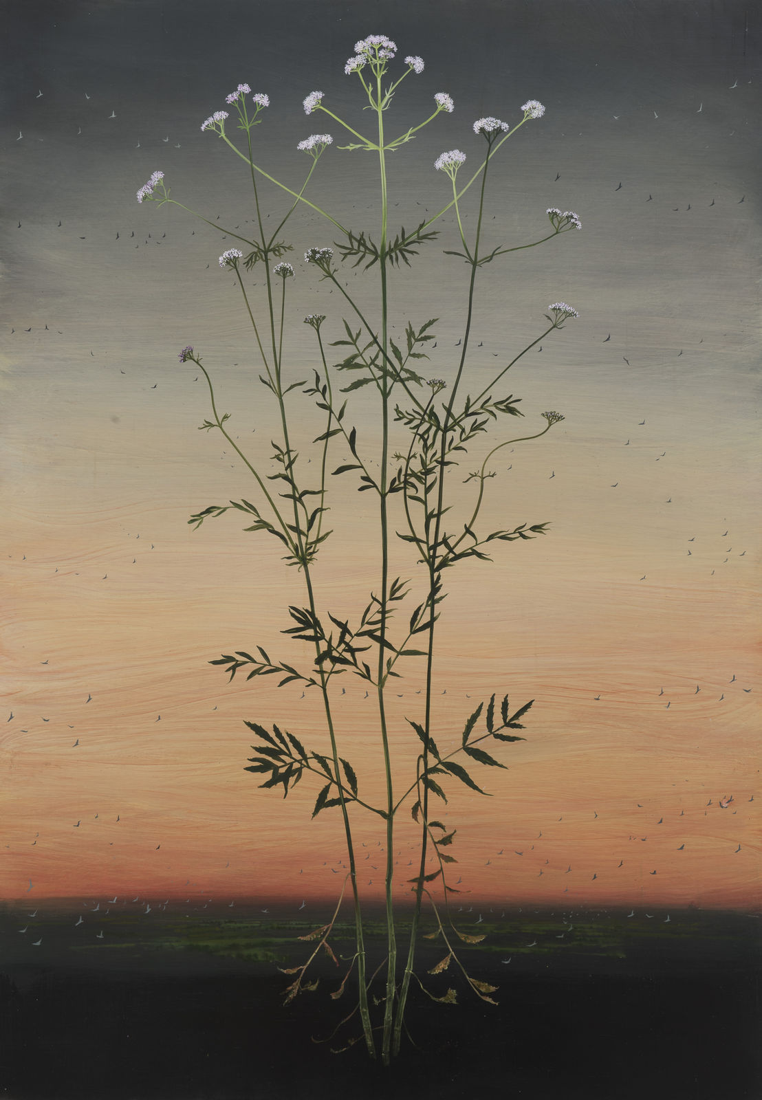 Michael Canning, Listening Love, 2013 - 17