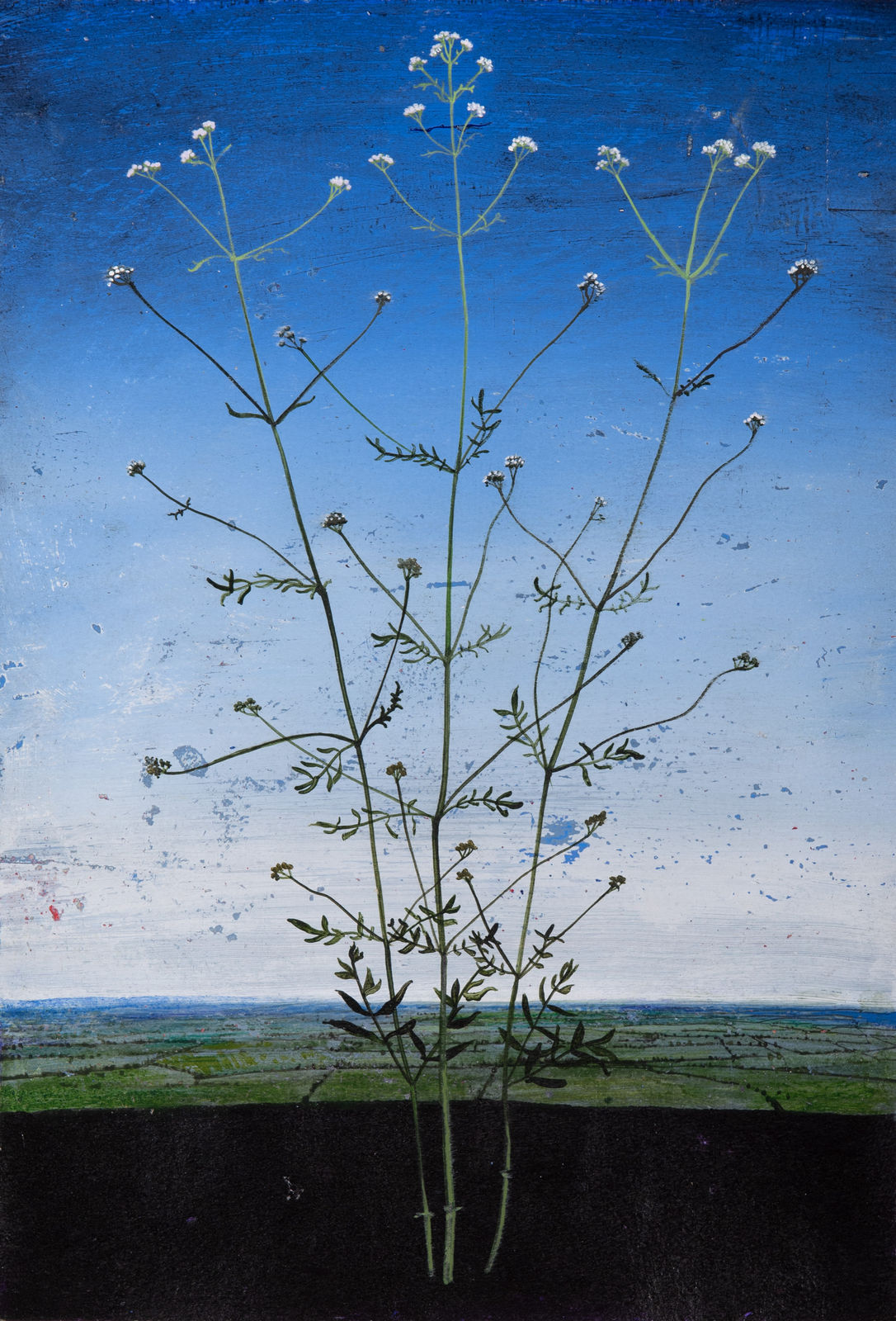 Michael Canning, Untitled Study, 2019