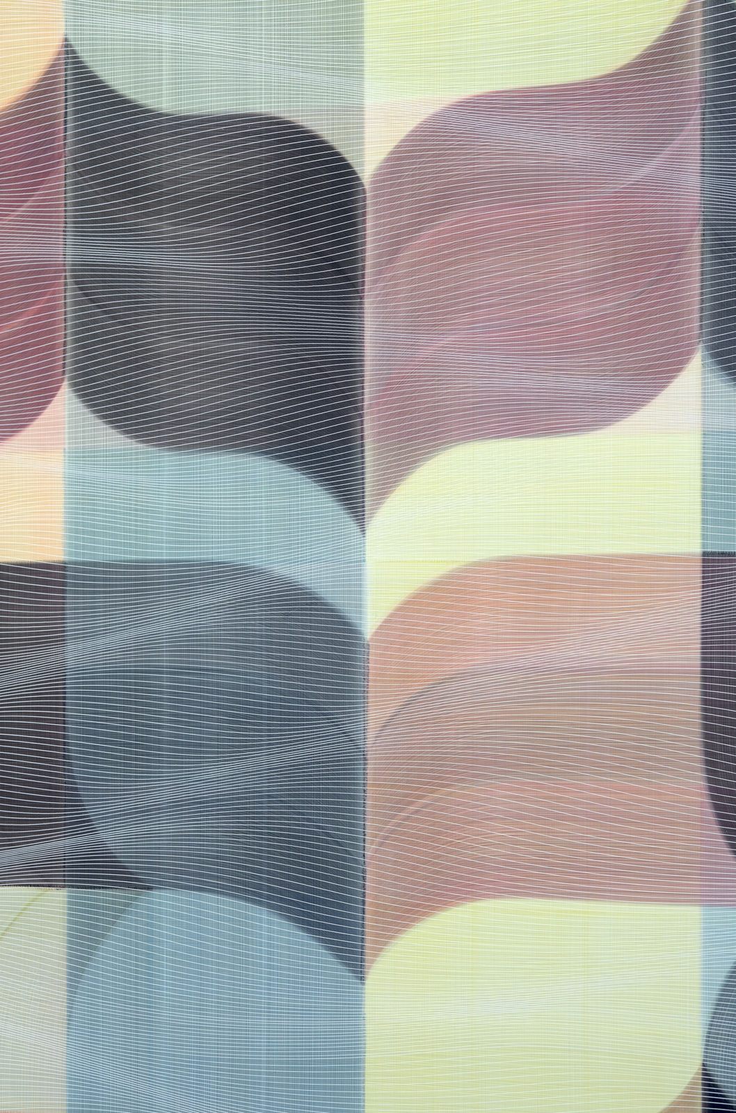 David Murphy, Blanket (Veiled), 2023