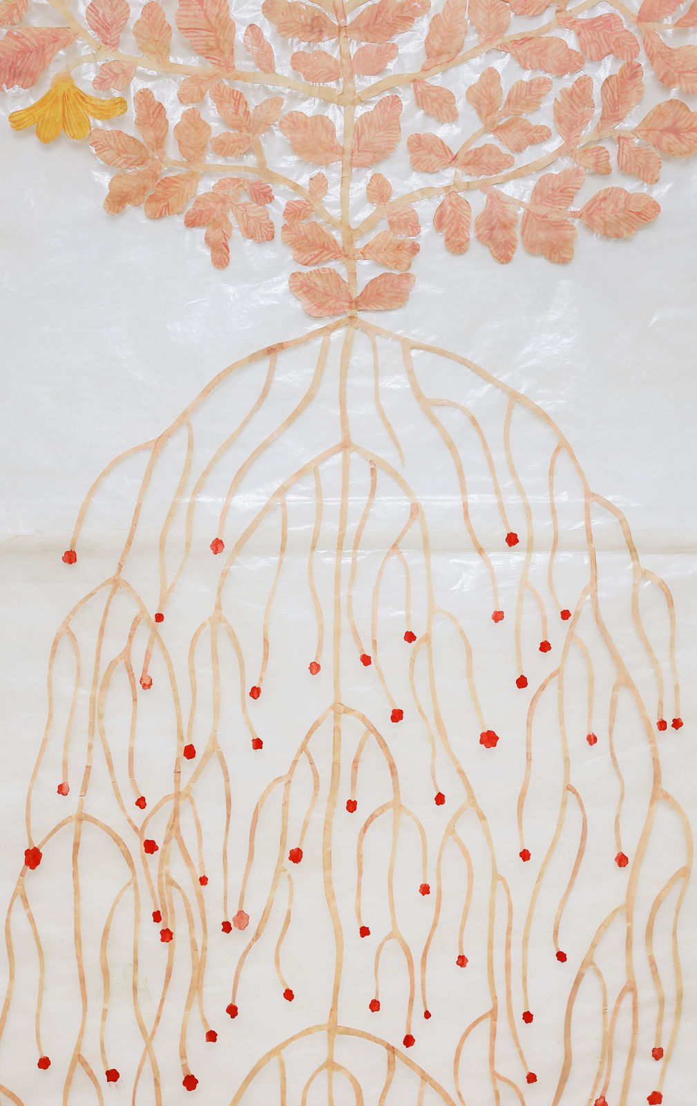 Fumi Imamura, One Flower (yellow chrysanthemum) (花ひとつ(黄菊)), 2023