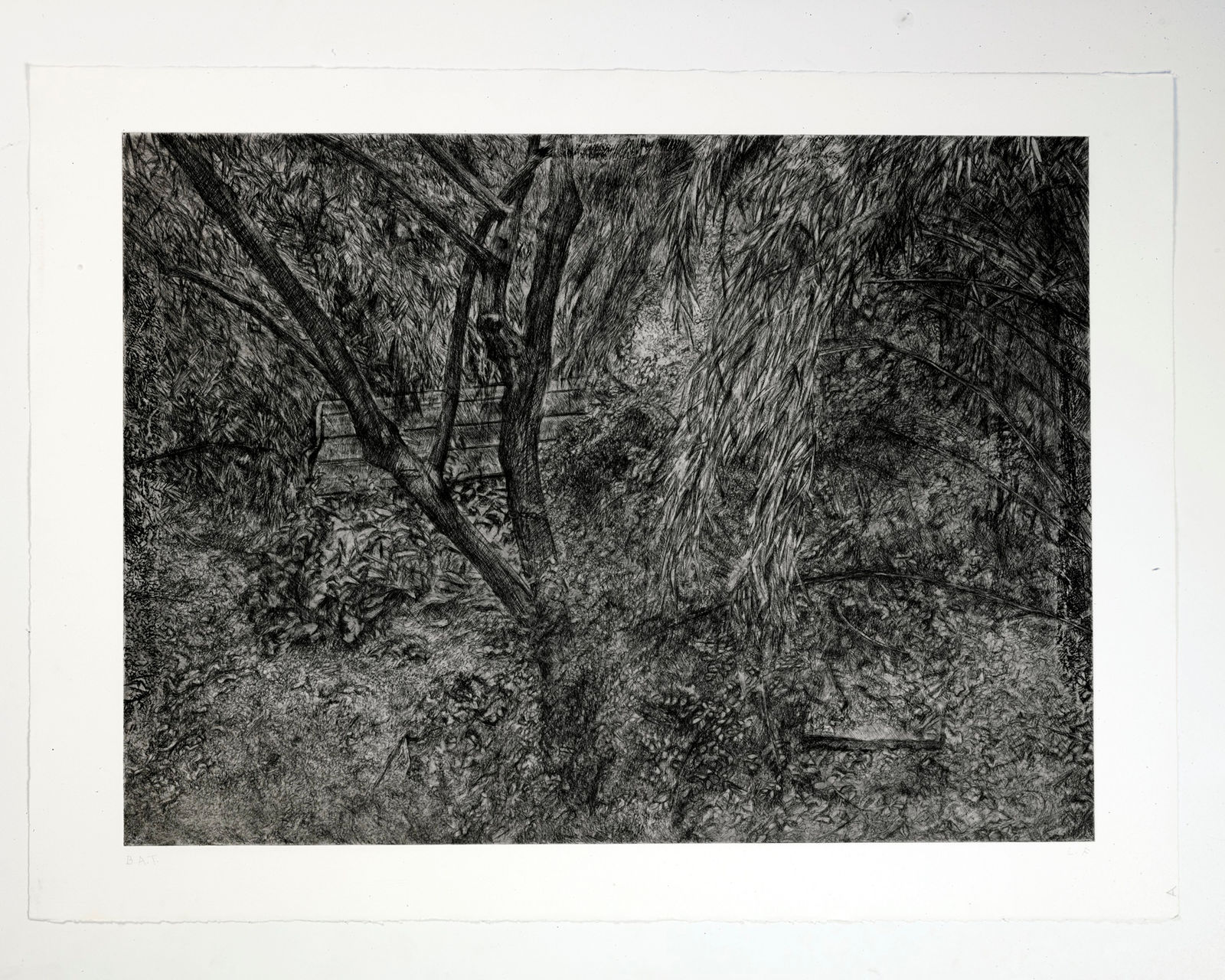 Lucian Freud, Painter's Garden, 2003-2004