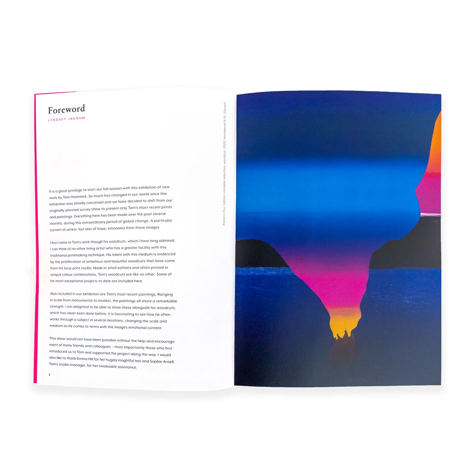 Tom Hammick, After Munch, 2020