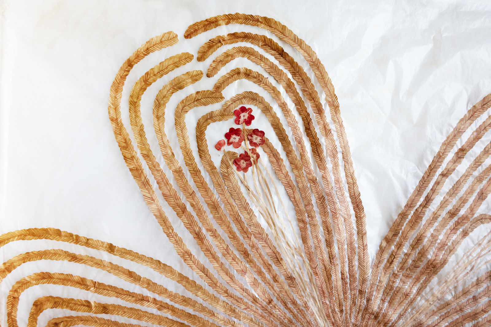 Fumi Imamura, One Flower (Red Flower), 2024