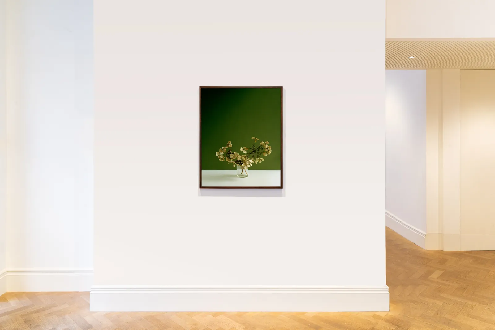 Kate Friend, Margaret Howell, Hydrangea, Suffolk, 2019