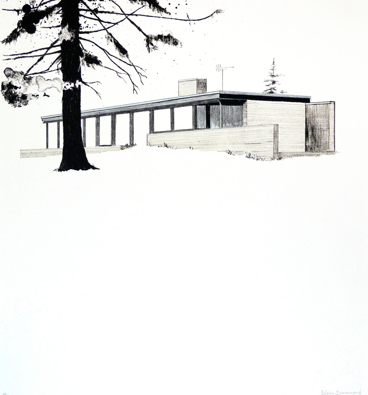 Blaise Drummond, North Zealand, 2017