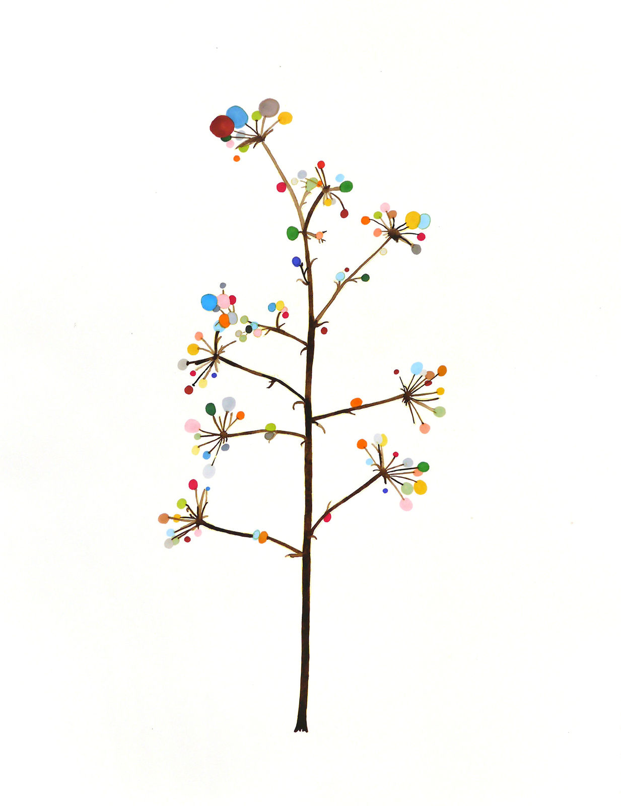 Blaise Drummond, Aralia 3, 2019