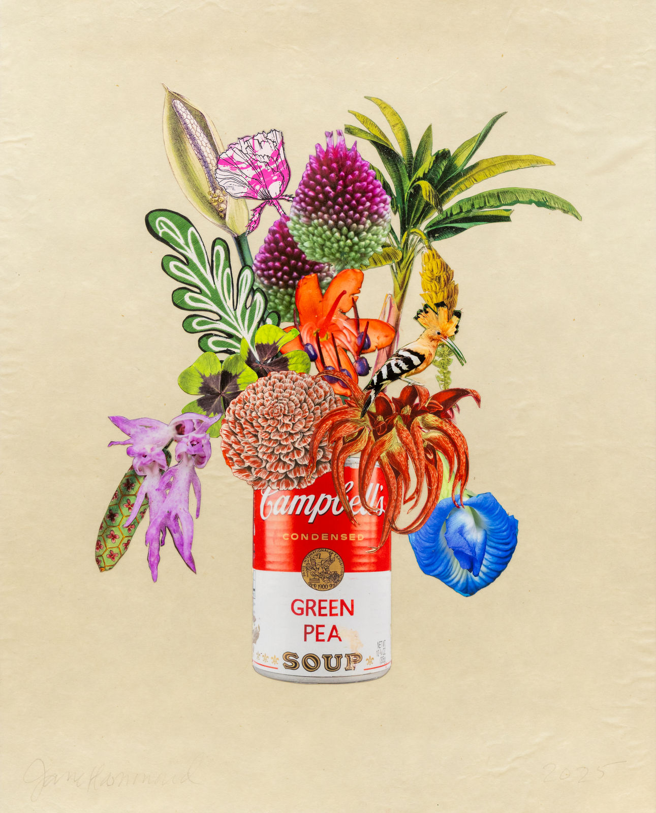 Jane Hammond, Campbell's Green Pea with Naked Man Orchid, Four-Leaf Clovers and Hoopoe, 2025