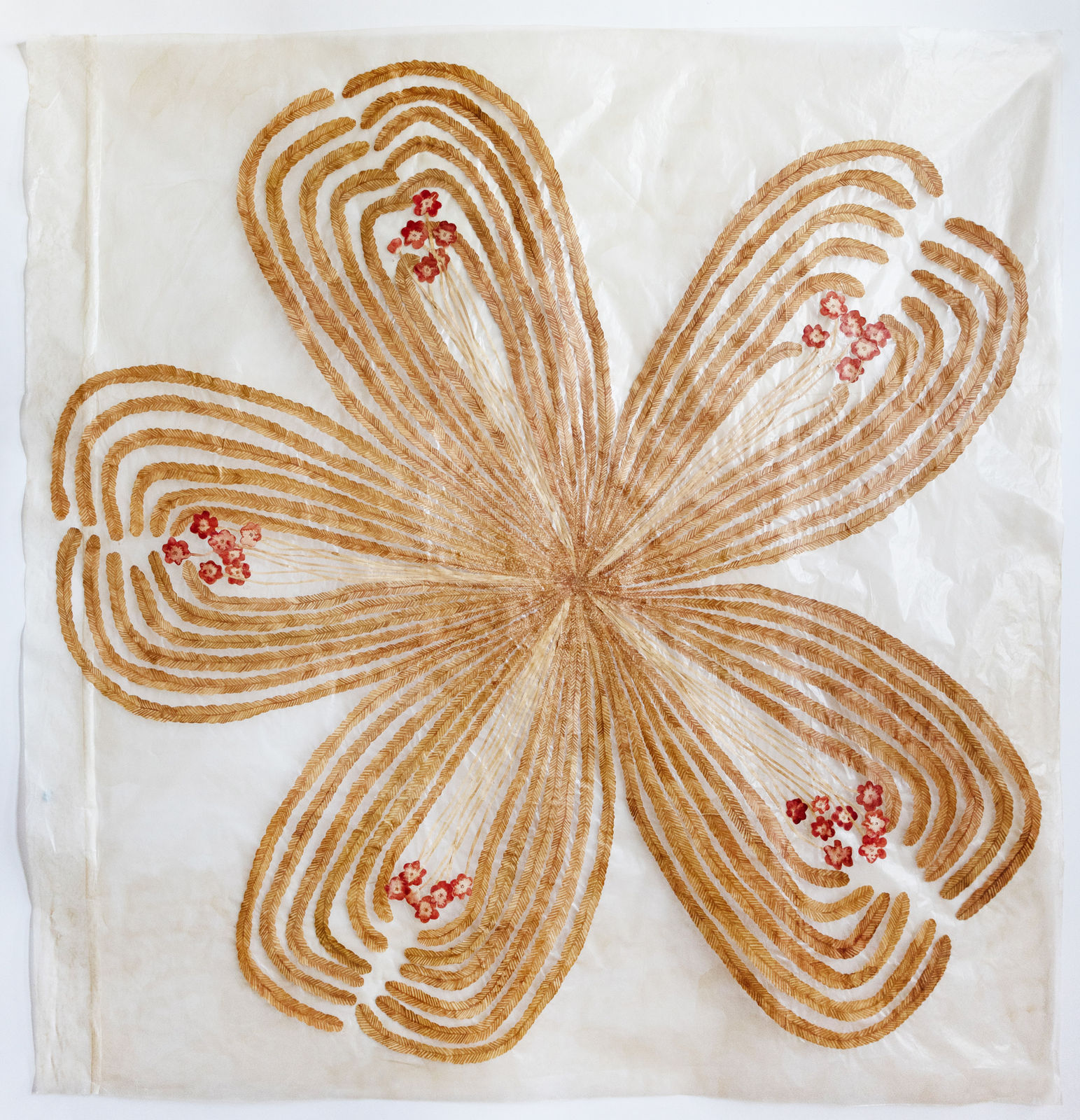 Fumi Imamura, One Flower (Red Flower), 2024