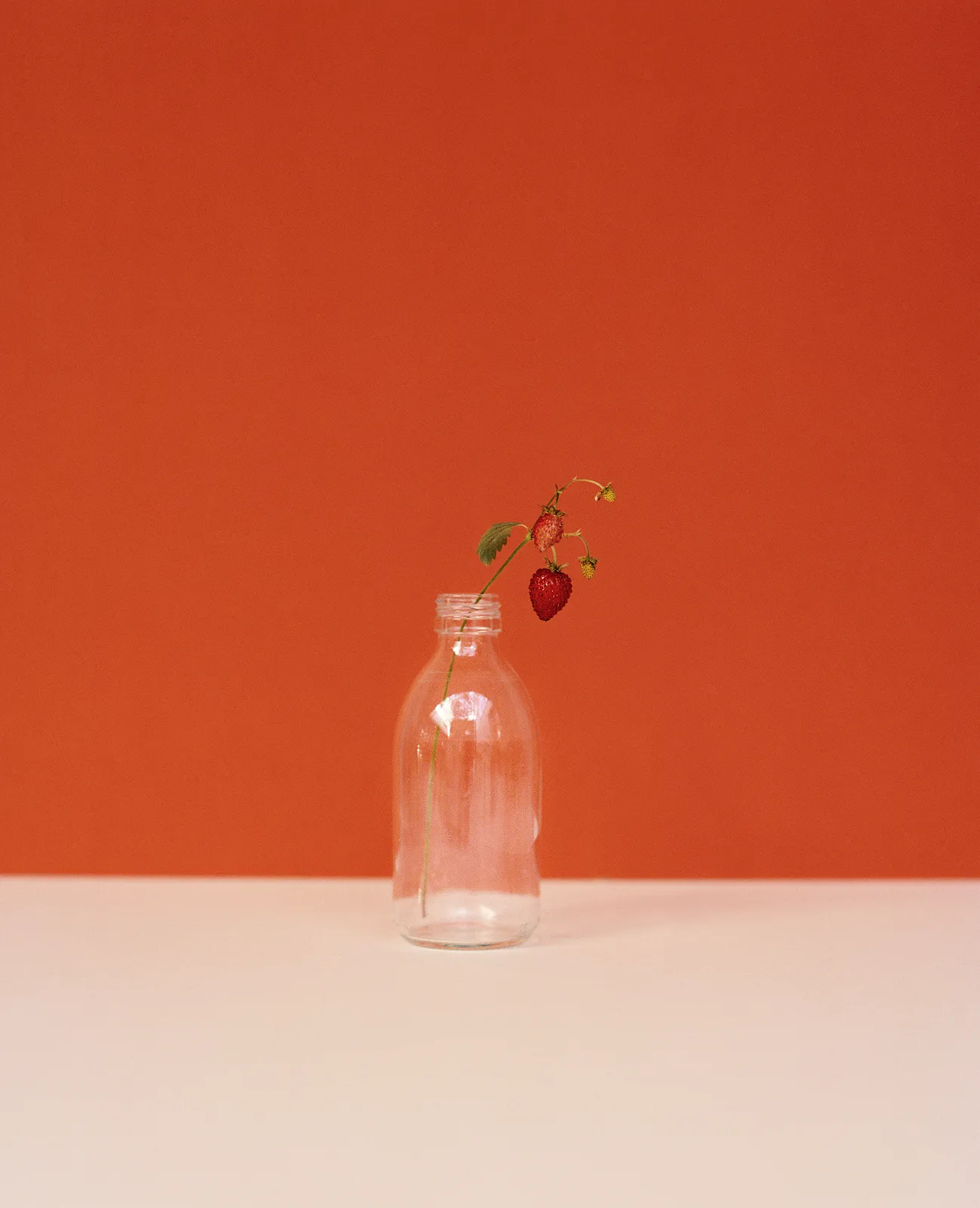 Kate Friend, Juergen Teller, Strawberry, Latimer Road, London, 2020