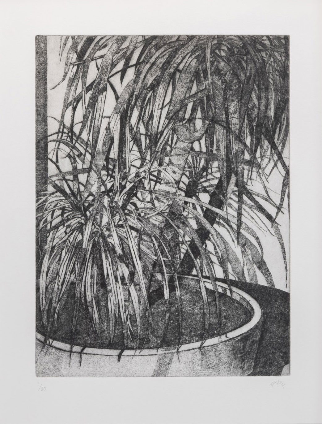 Esme Hodsoll, Palm (by Night), 2021
