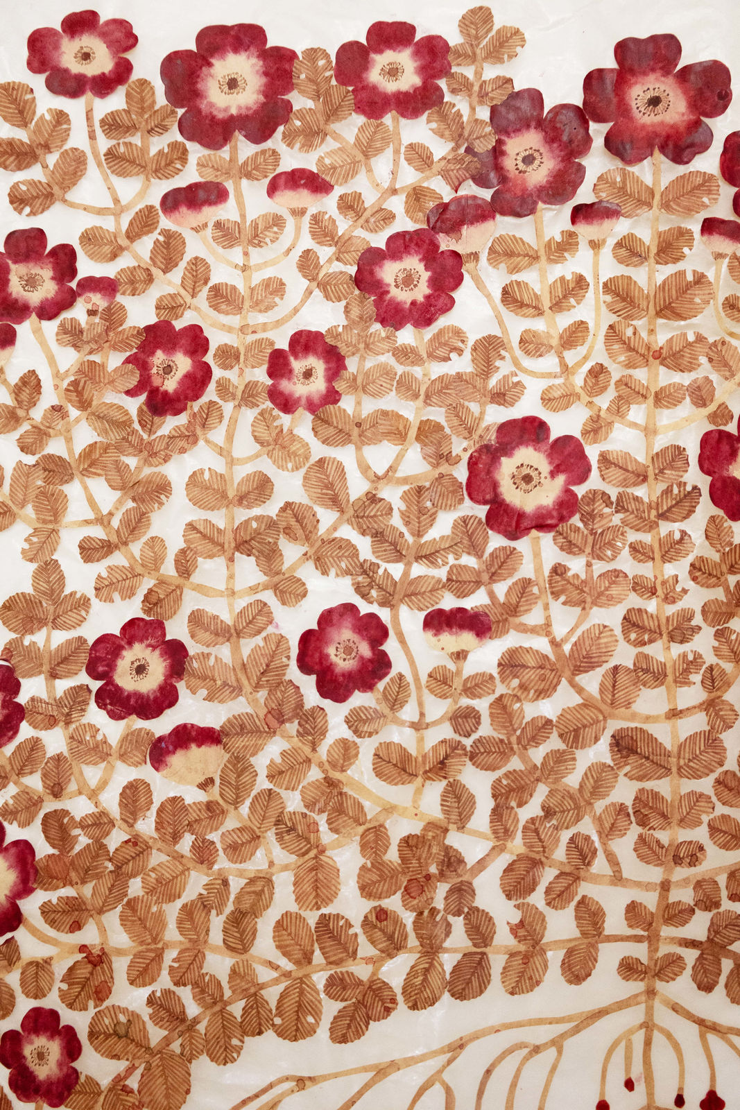 Fumi Imamura, One flower (wild rose) (花ひとつ (野ばら), 2025