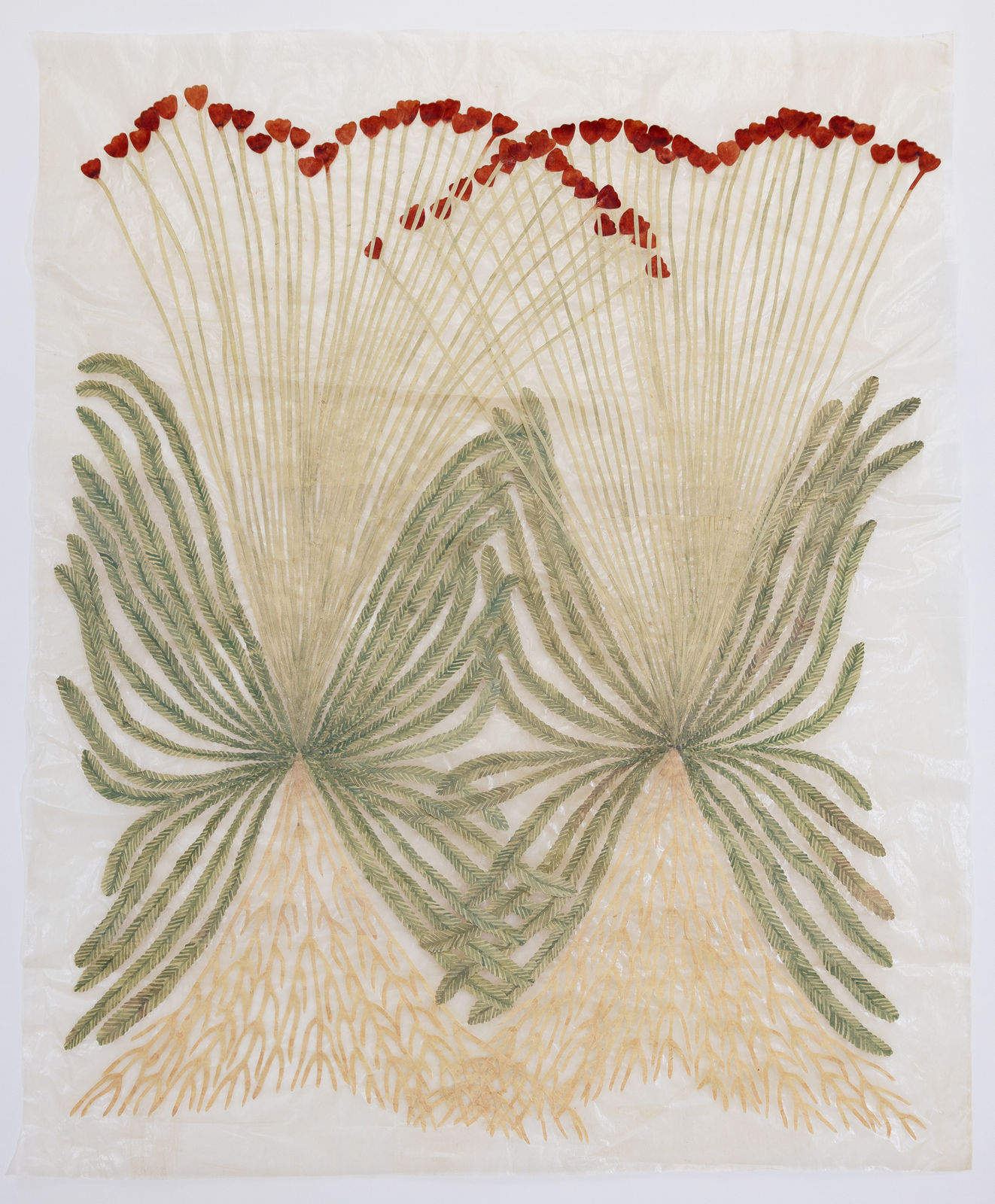 Fumi Imamura, Two flowers (breath) (花ふたつ(呼吸), 2024