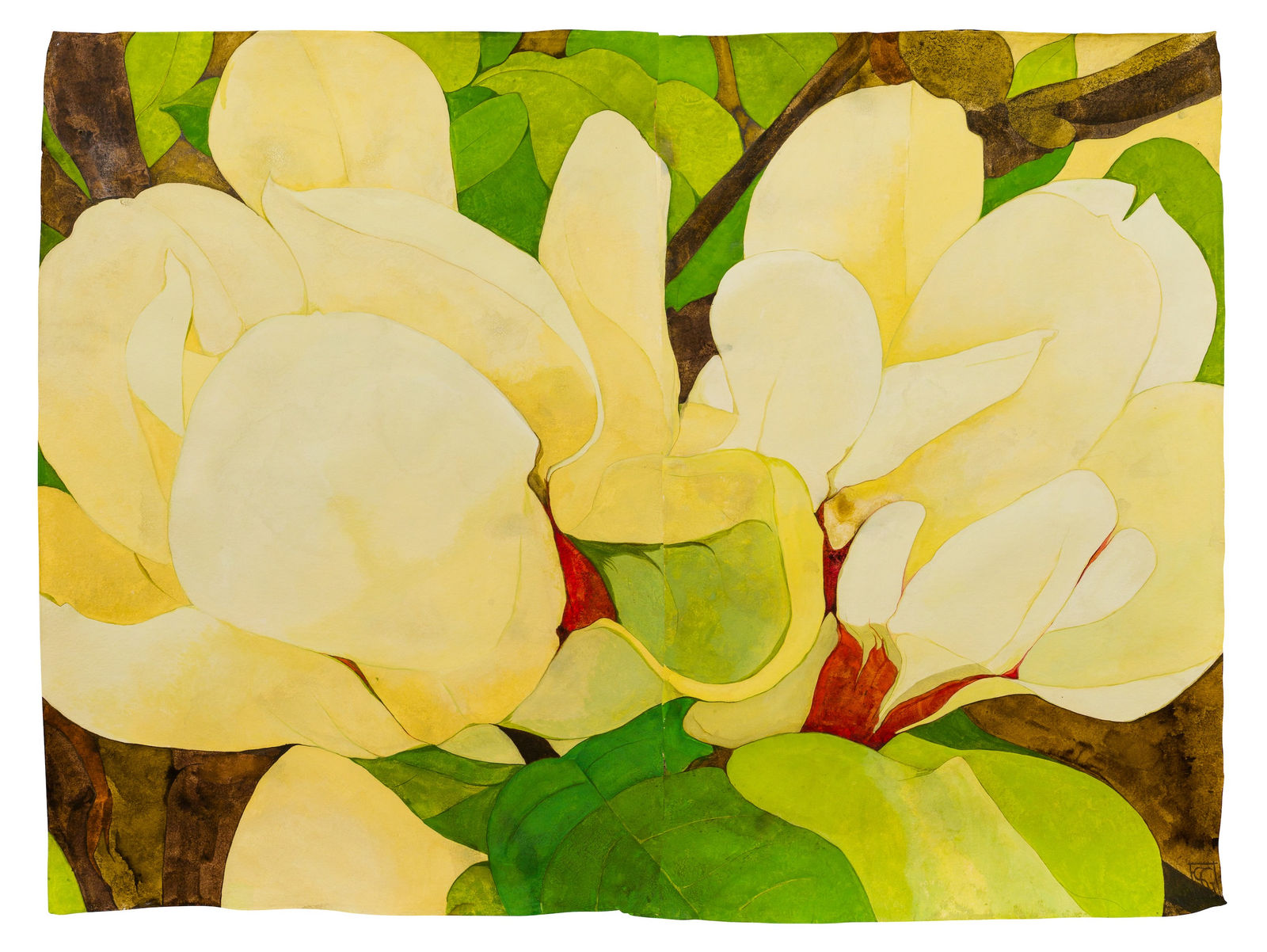 Sarah Graham, Magnolia Sunsation II, 2022