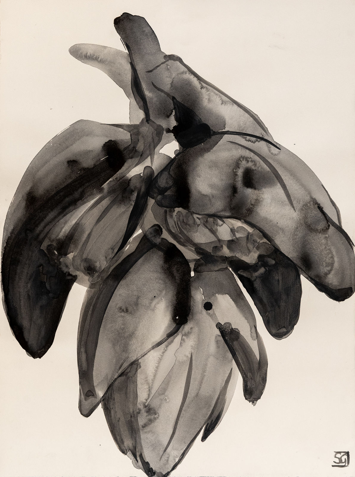 Sarah Graham, Musa acuminata (paper) XXIII, 2025