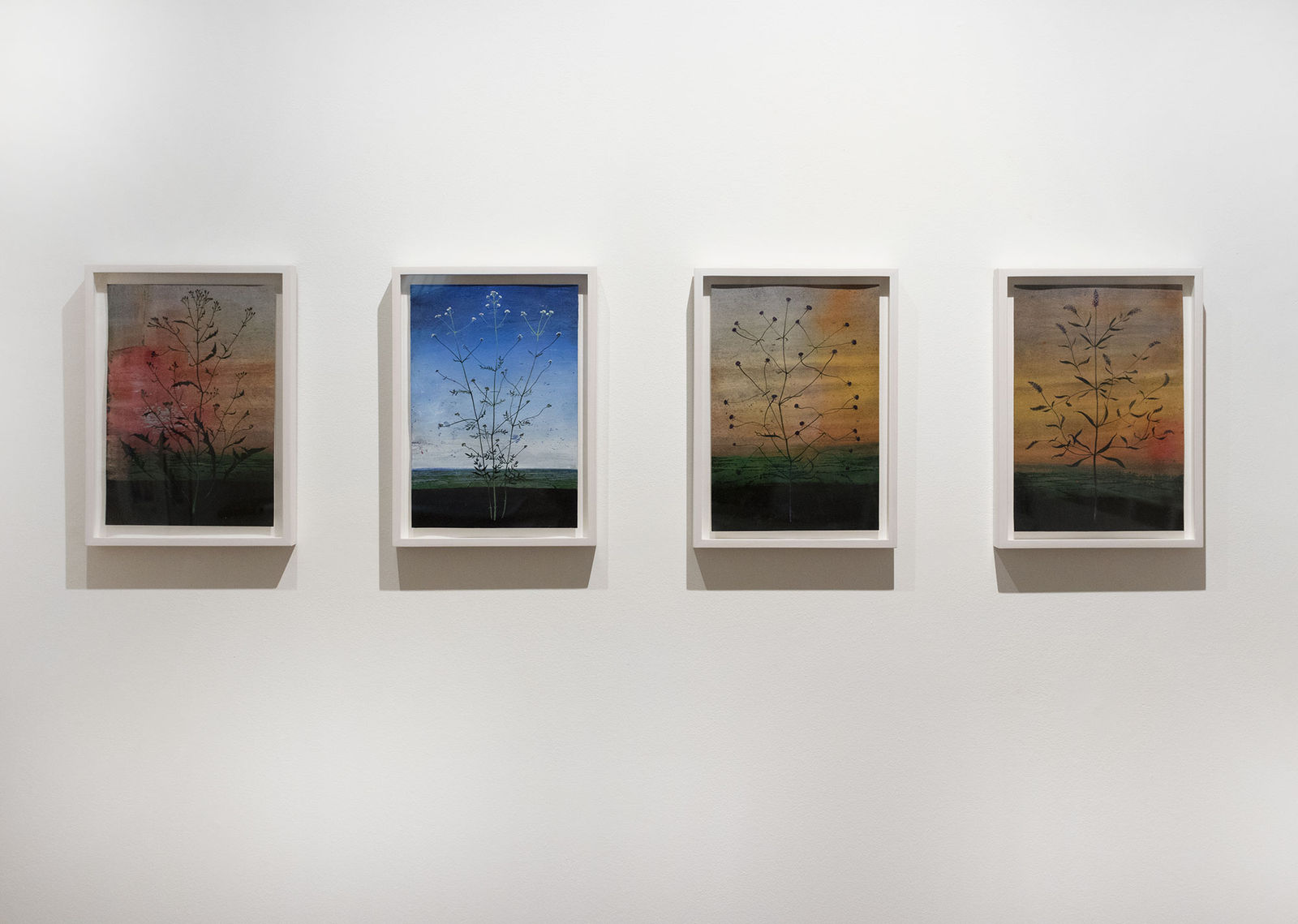 Michael Canning, Untitled Study, 2019