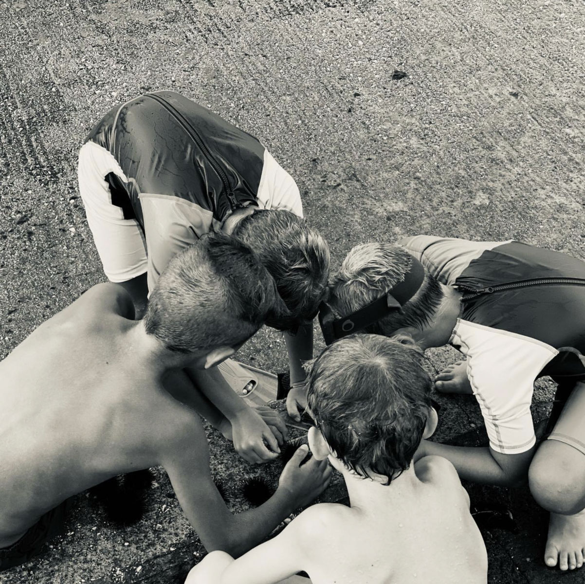 Laëtitia Masson, Ricci di Marre 1 | Série Le Grand Bleu, 2021