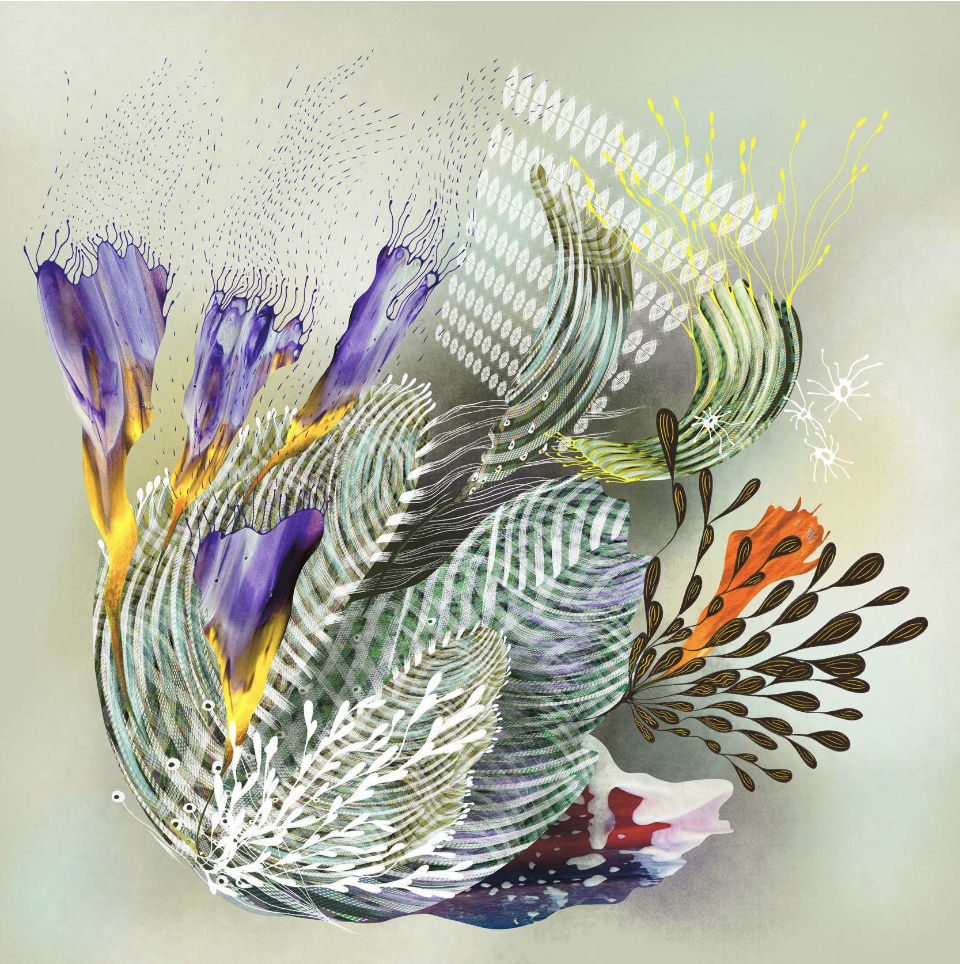 Olga Burkard, Aire, 2025