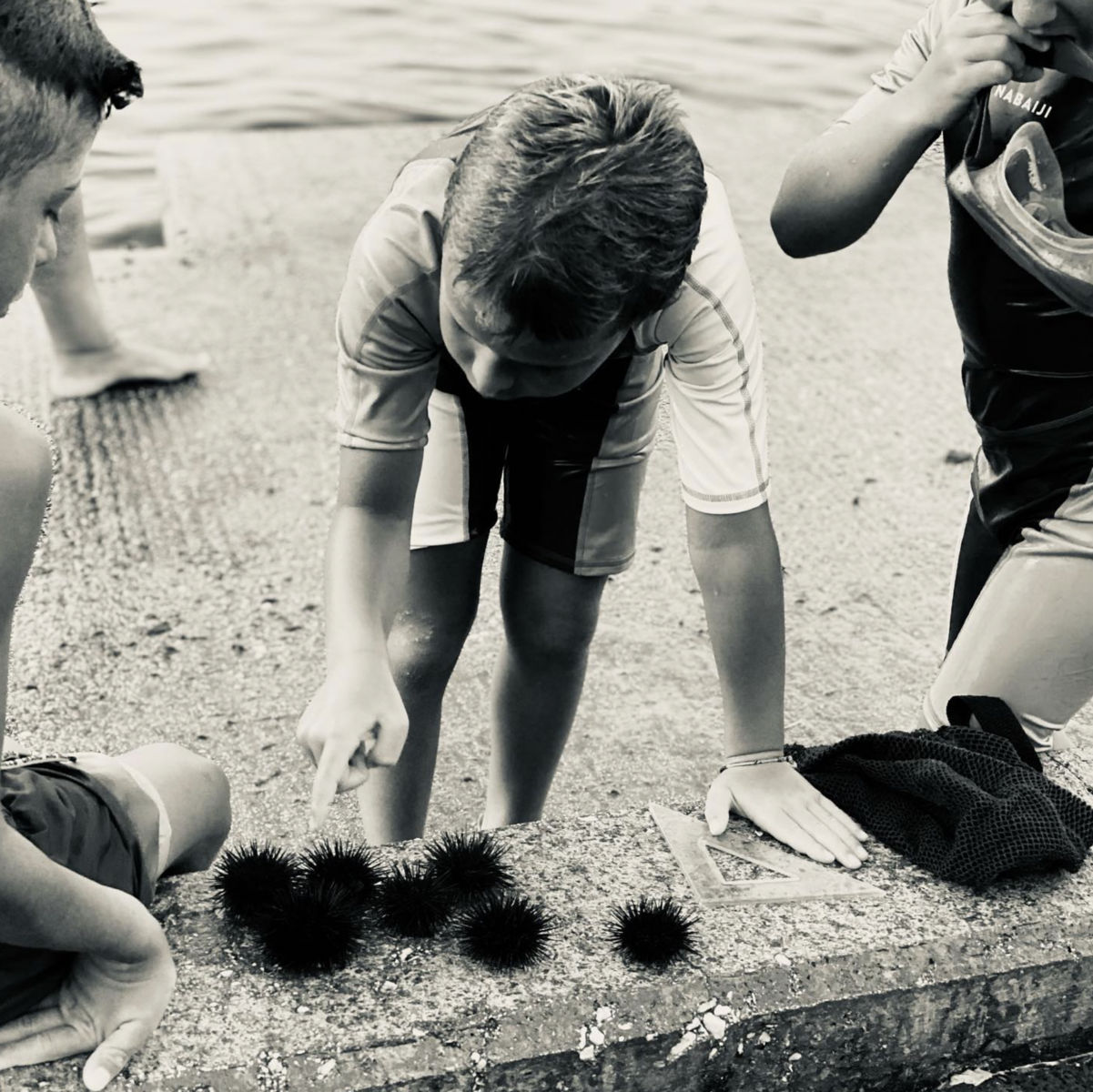 Laëtitia Masson, Ricci di Marre 1 | Série Le Grand Bleu, 2021