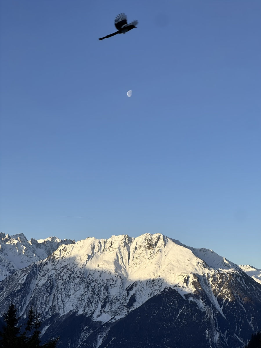 Laëtitia Masson, Verbier, Switzerland 6, 2024