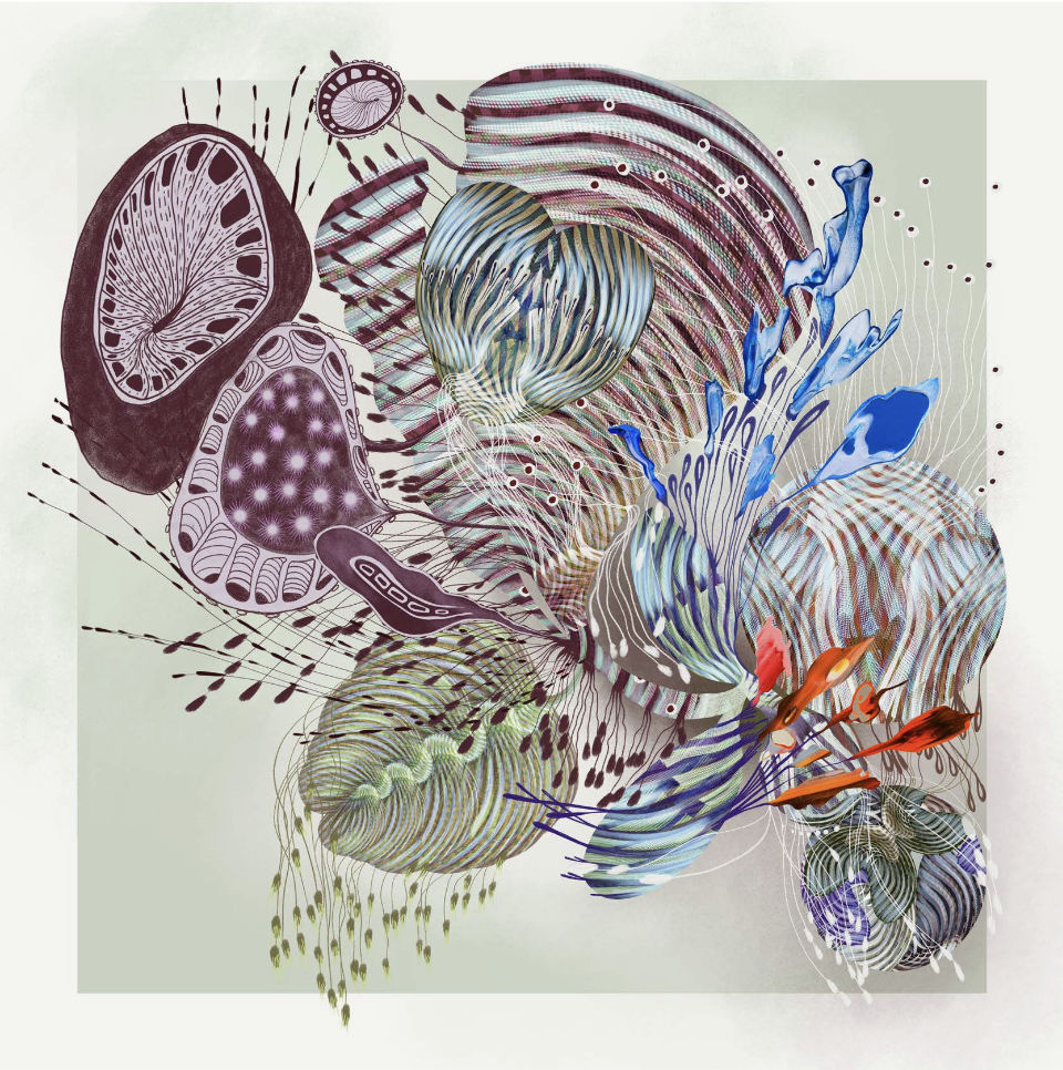 Olga Burkard, Entangeled, 2025