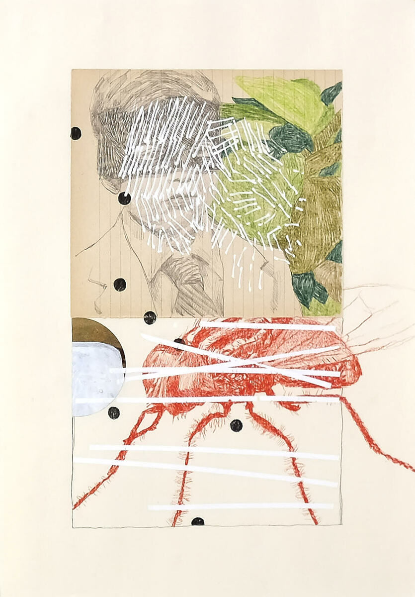 Luca Coser, In principio di frase IV, 2024