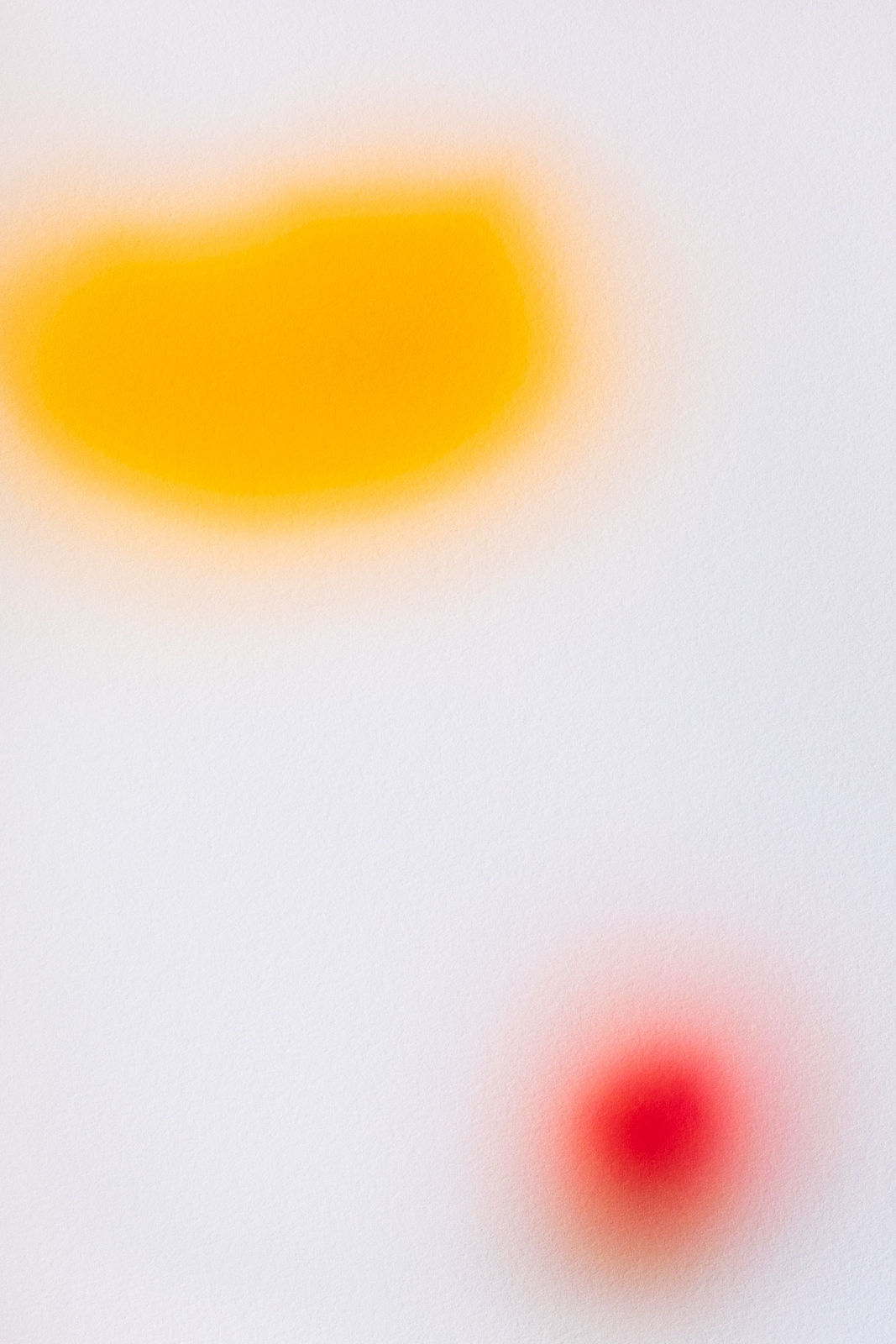 Onoko, Percept Op.9, 2020, Japan